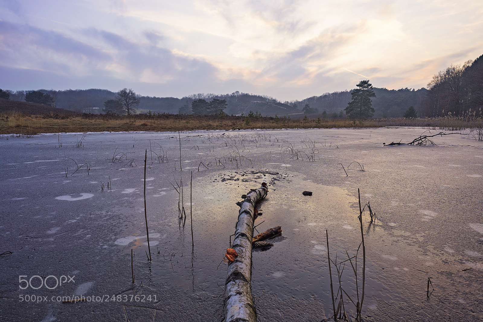 Sony a7R II sample photo. A frosty sunset photography