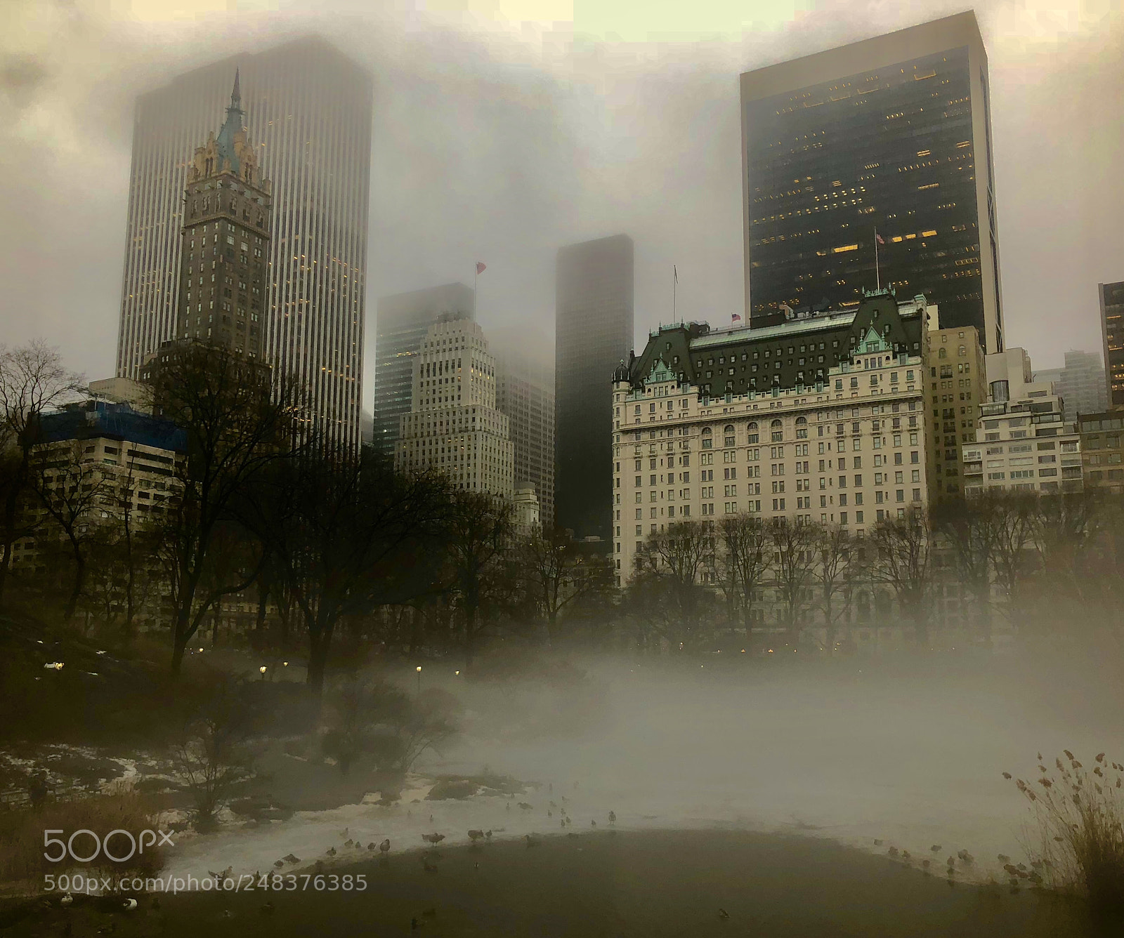 Apple iPhone X sample photo. Foggy morning photography