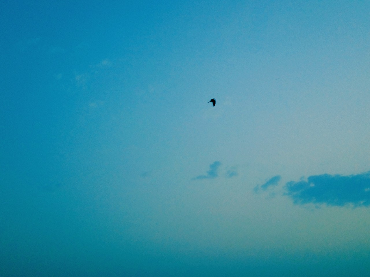 GIONEE A1 lite sample photo. Blues photography
