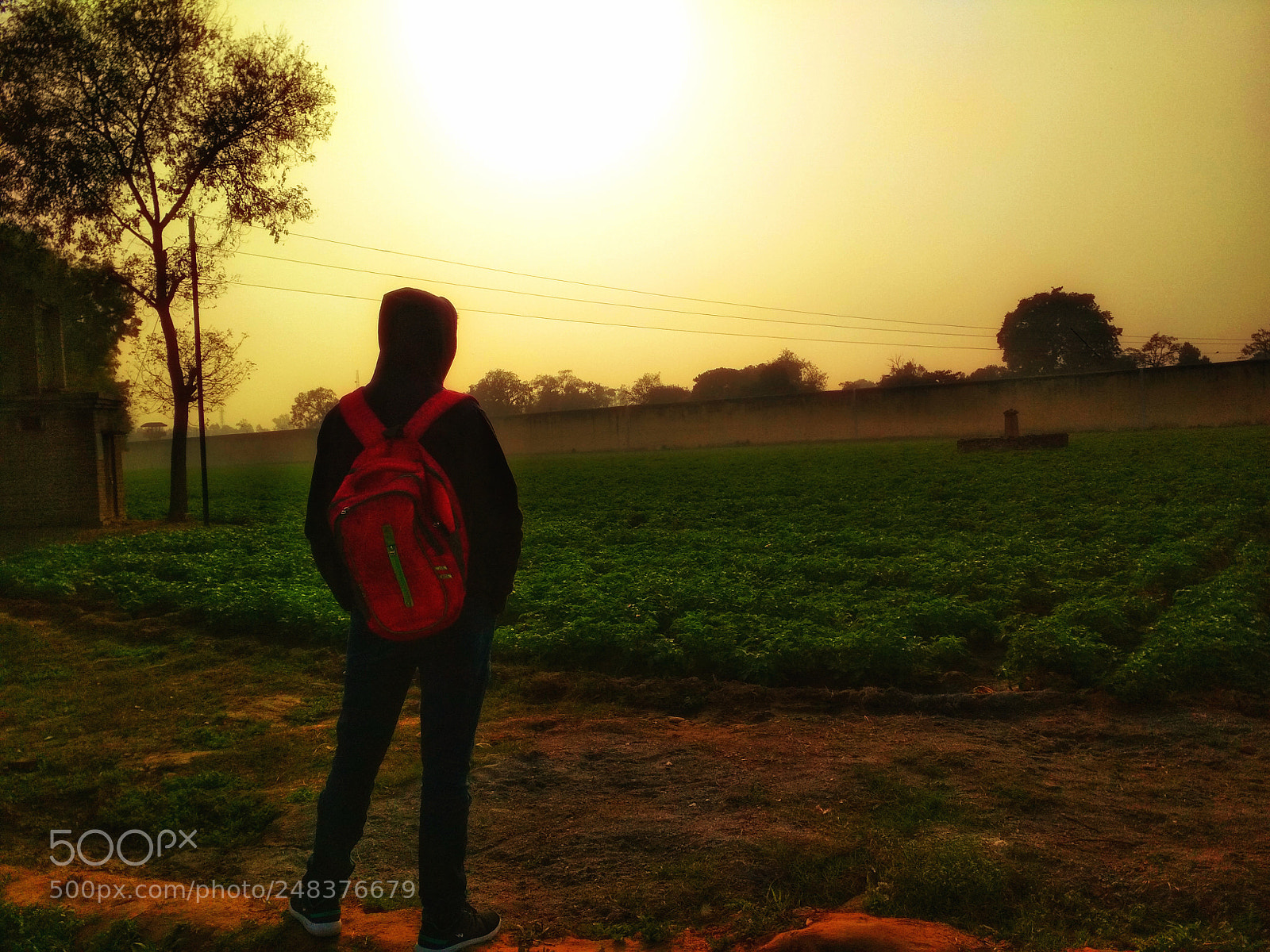 Xiaomi Redmi 4 Pro sample photo. Untitled photography