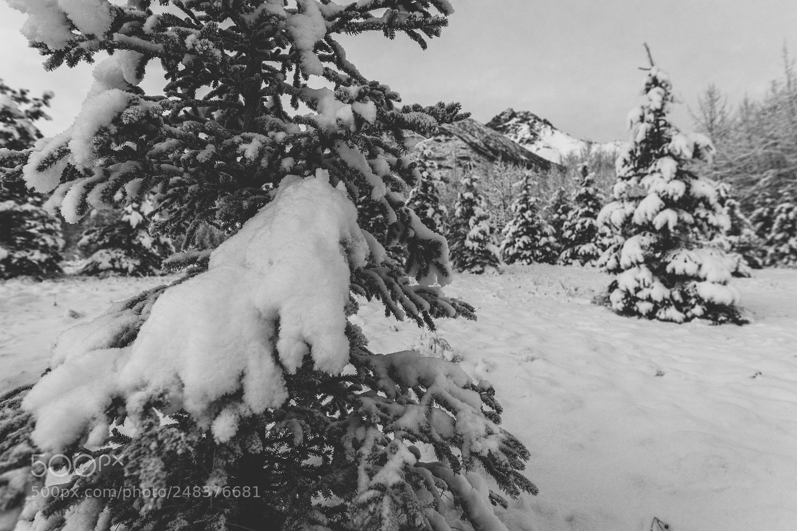 Sony a7R II sample photo. Eklutna, alaska photography