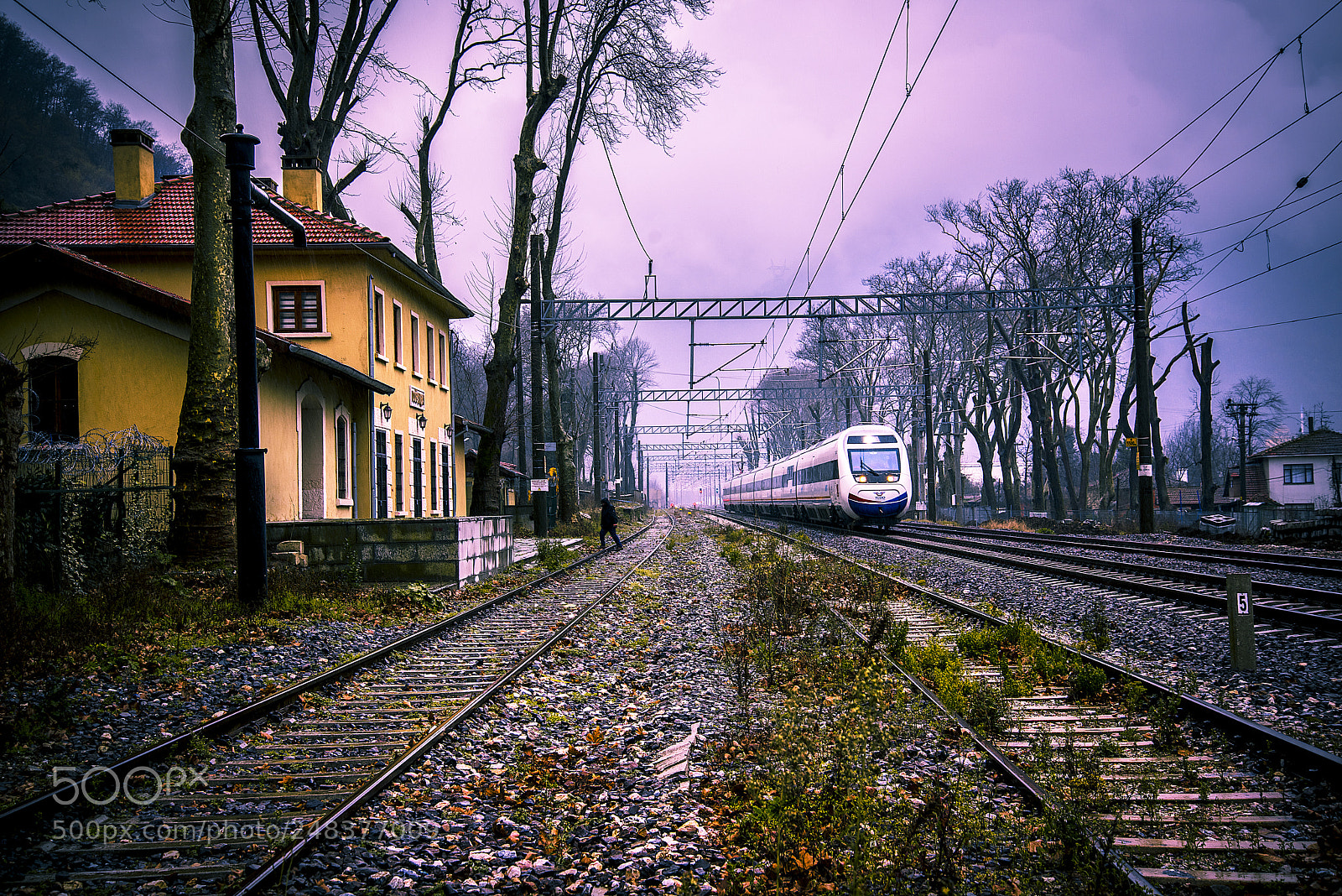 Nikon D810 sample photo. Untitled photography