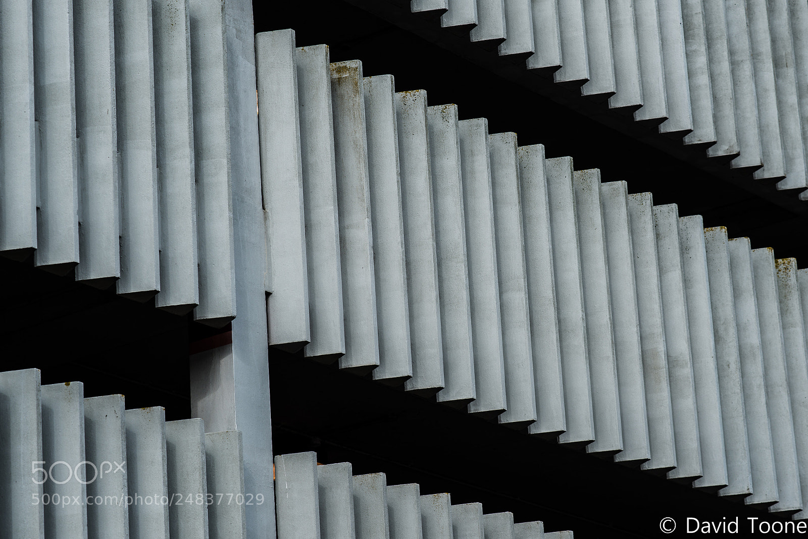 Nikon D800 sample photo. Corrugated photography