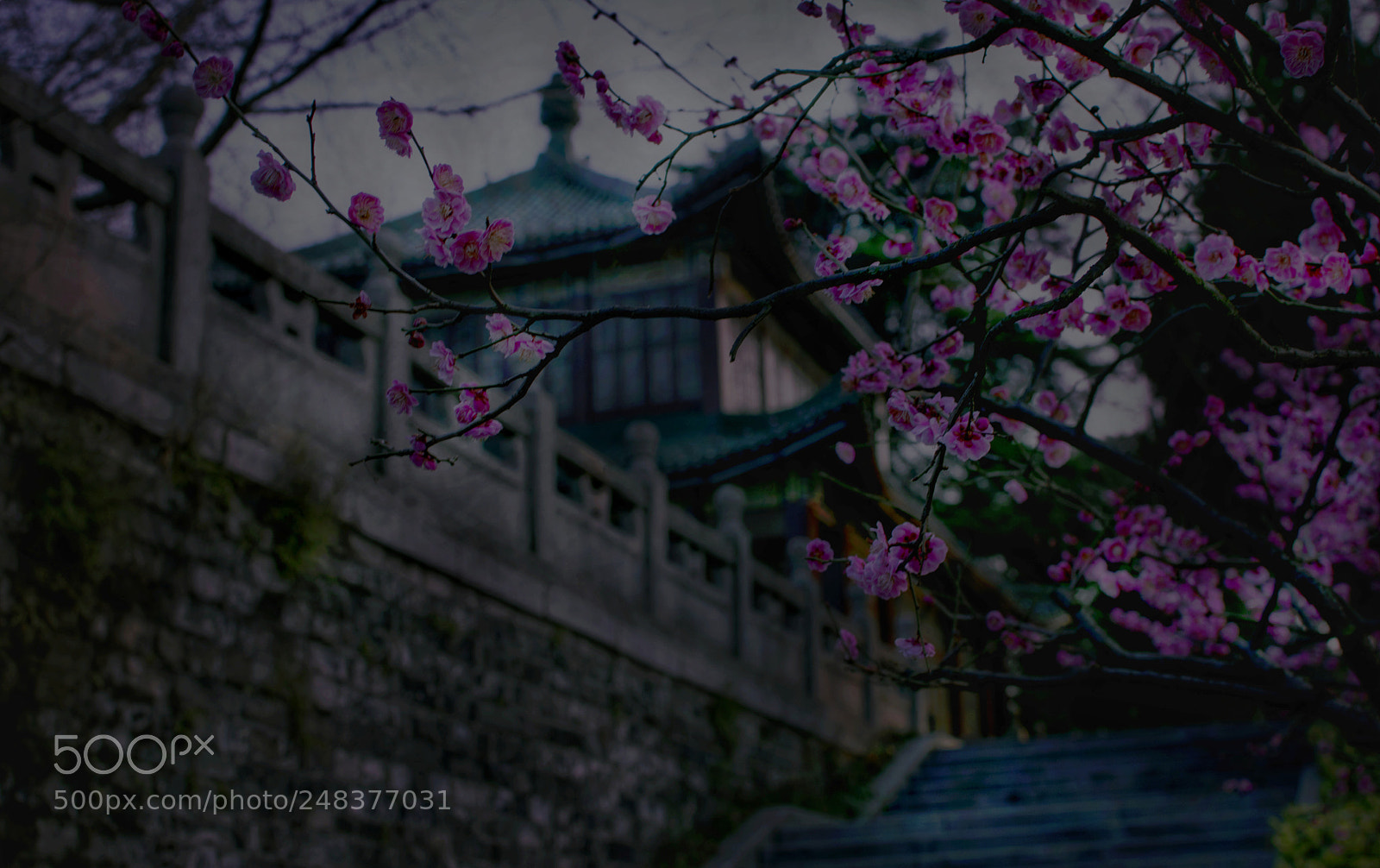 Nikon D7100 sample photo. I have a date photography