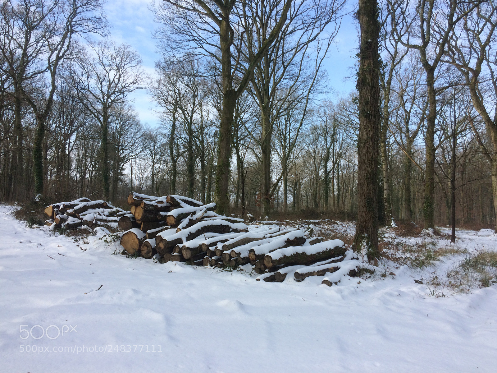 Apple iPhone 5s sample photo. Snow logs in the photography