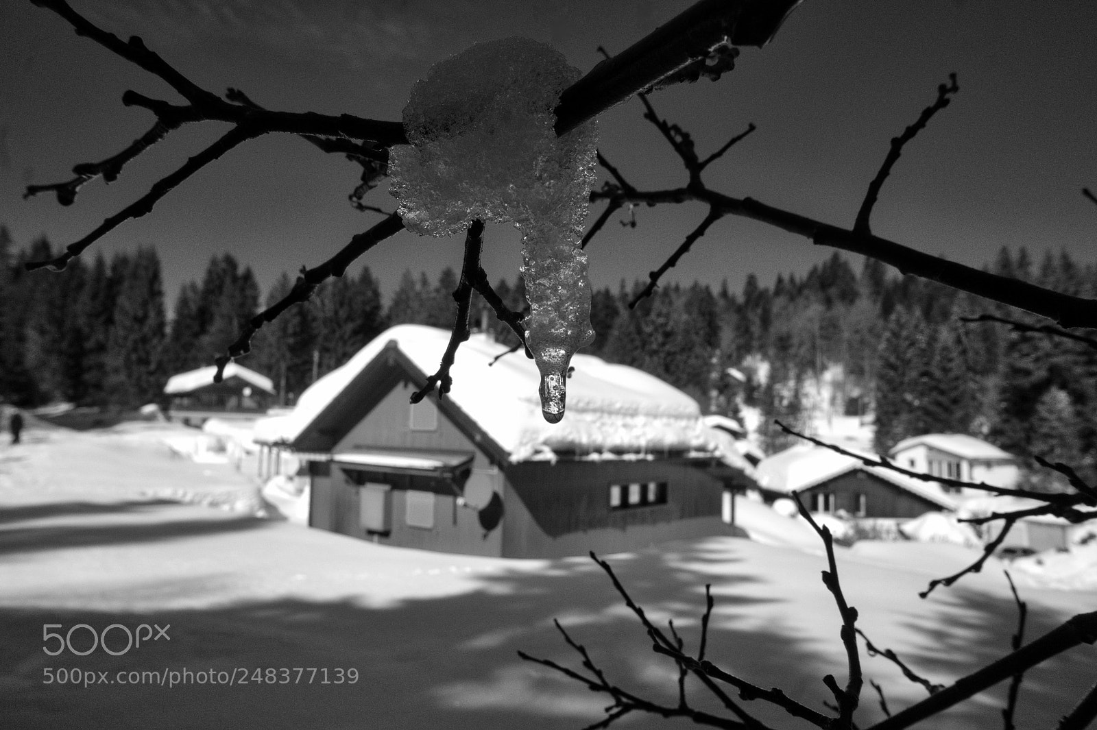 Sony Alpha a5000 (ILCE 5000) sample photo. Goutte - givrine suisse. photography