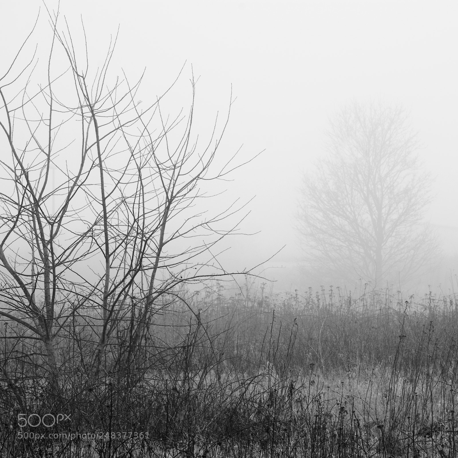 Nikon D7100 sample photo. Misc29 photography