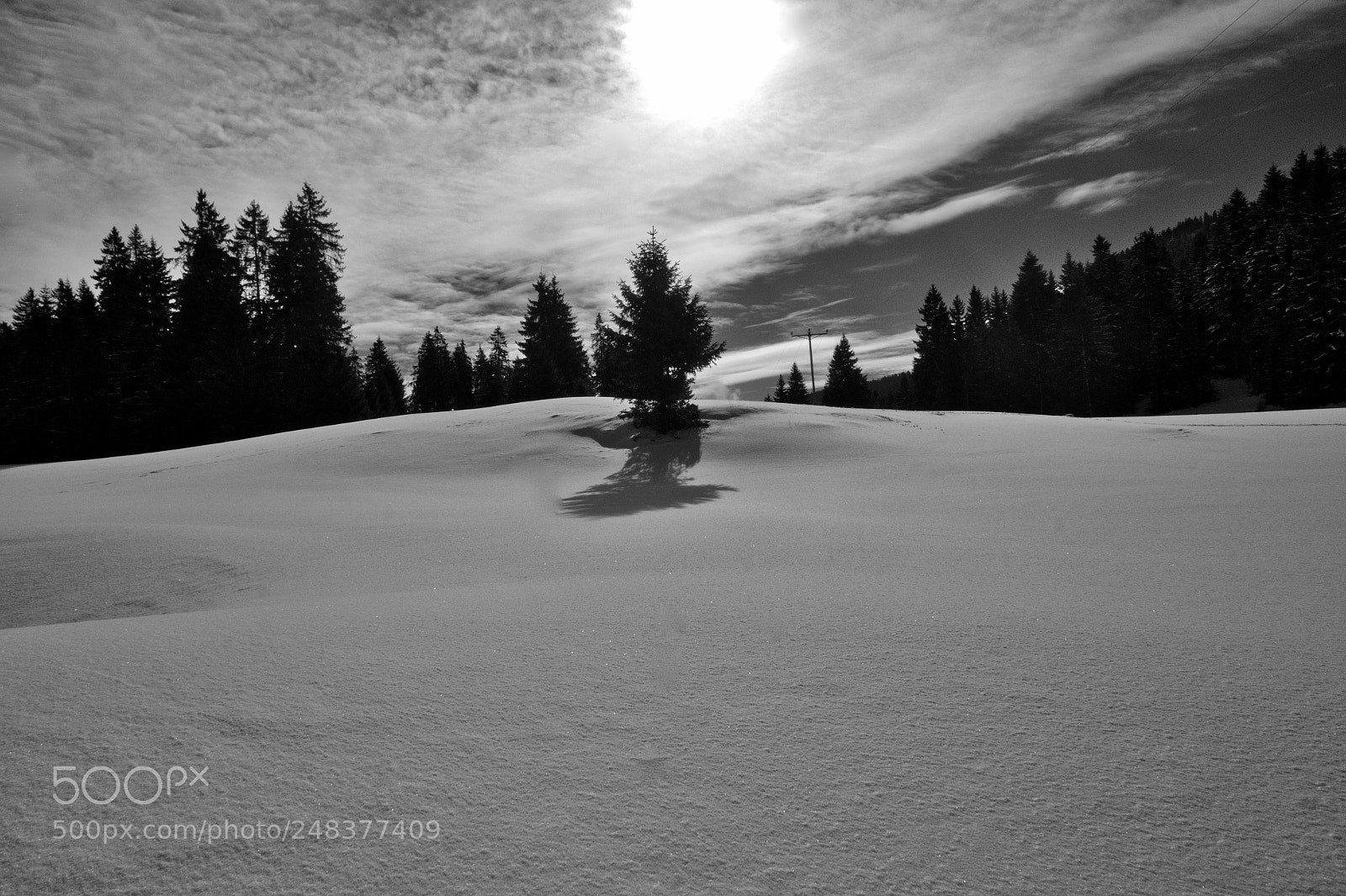 Sony Alpha a5000 (ILCE 5000) sample photo. Paysage d hiver givrine photography