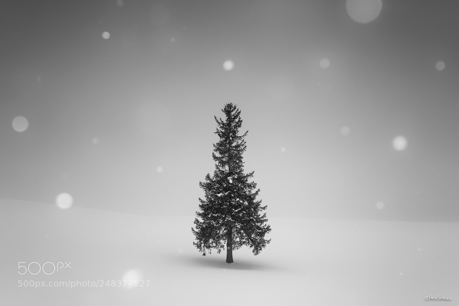 Sony a7R III sample photo. In the snow falling photography