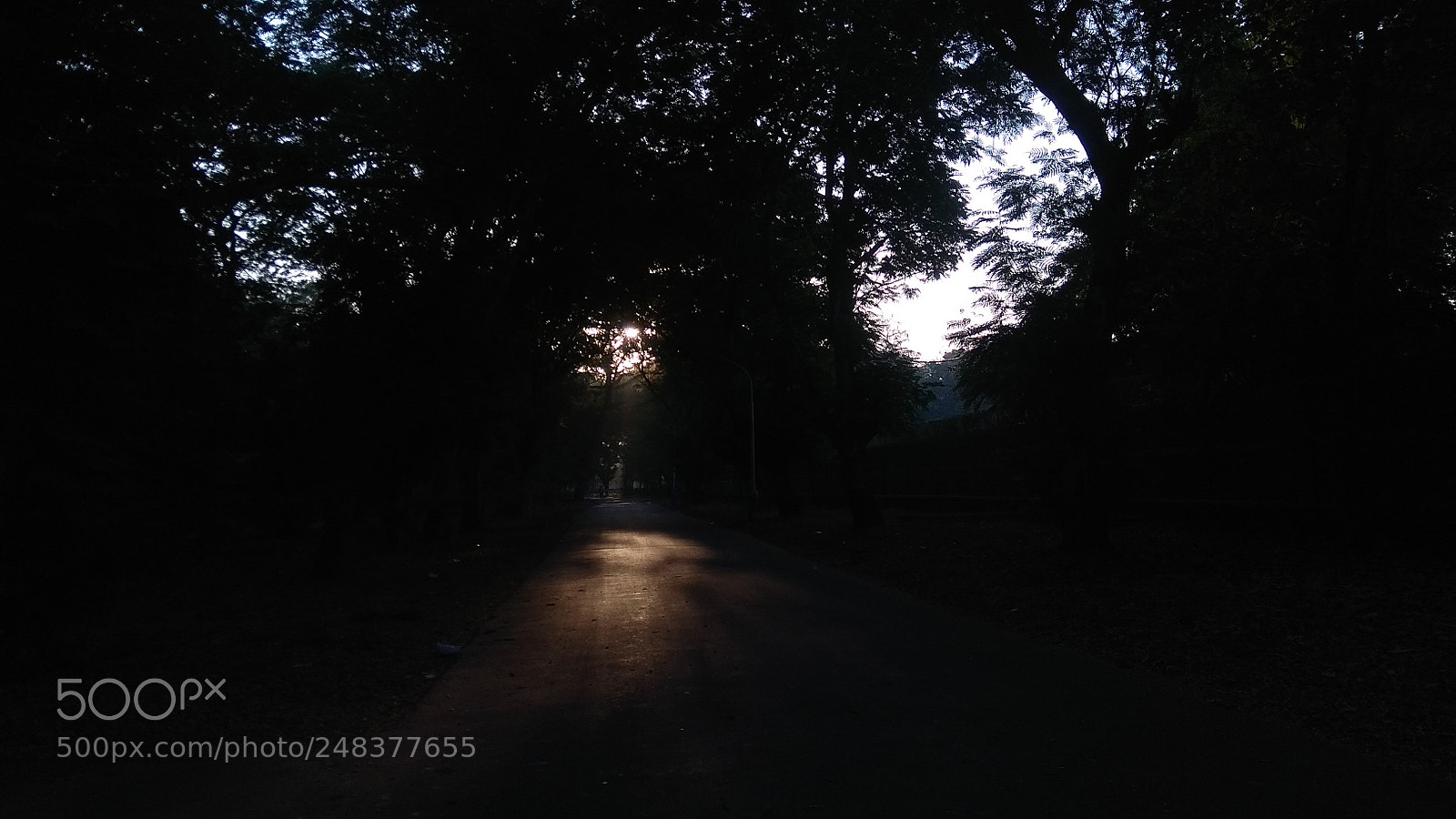 Xiaomi Redmi Note 4 sample photo. Untitled photography