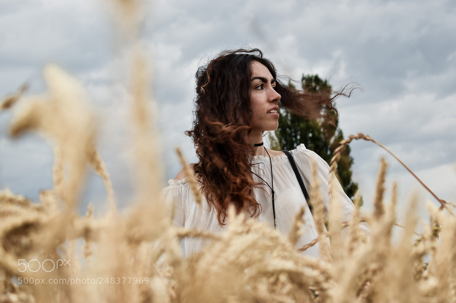 Nikon D5600 sample photo. Untitled photography