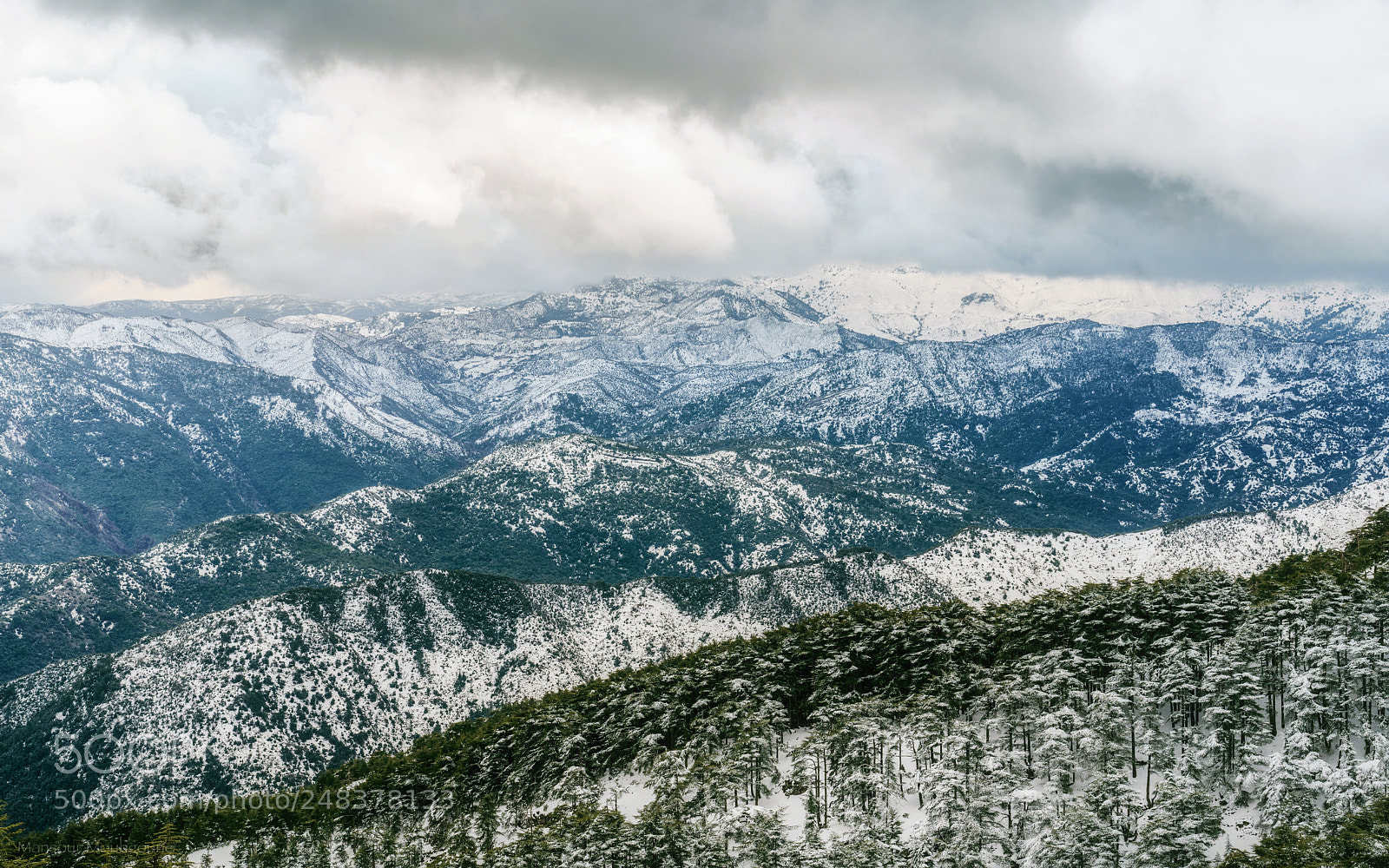 Sony a7R II sample photo. Chrea photography