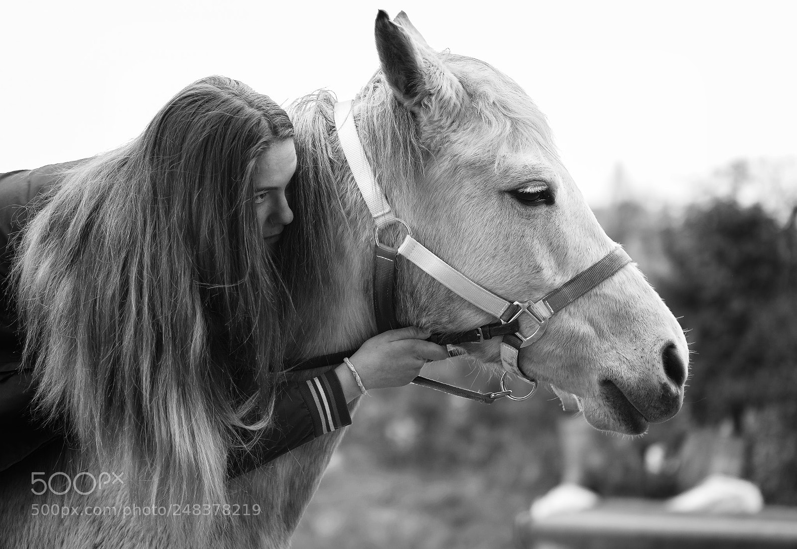 Fujifilm X-Pro2 sample photo. Untitled photography