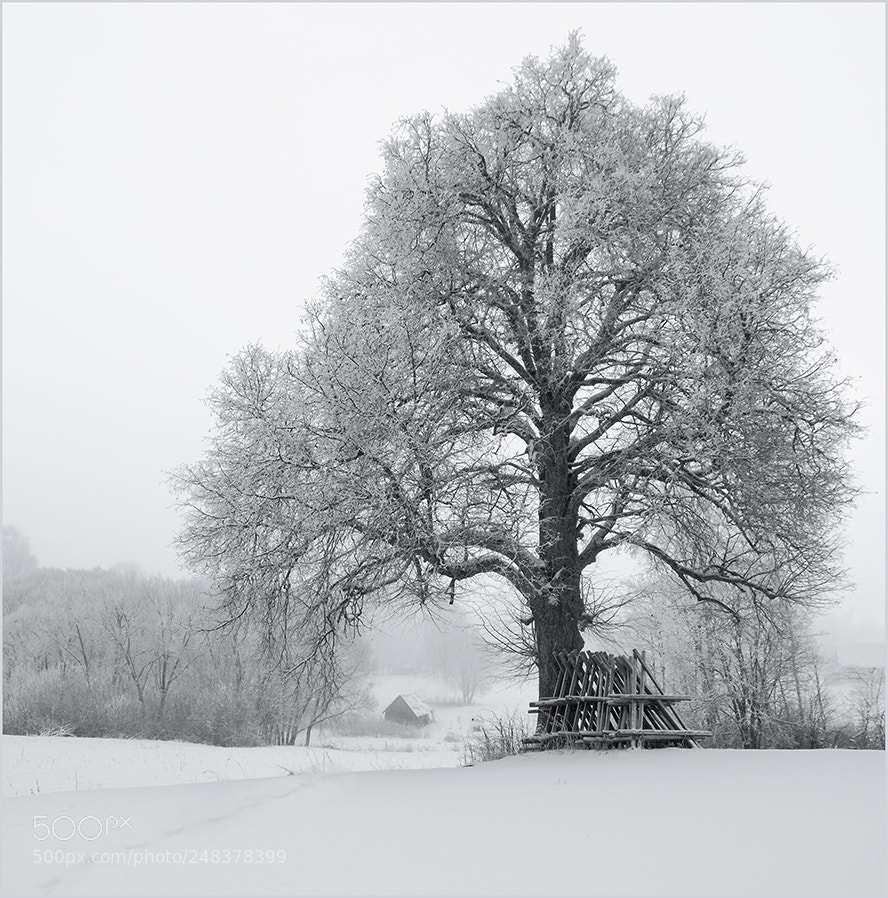 Pentax K-5 II sample photo. Winter landscape photography