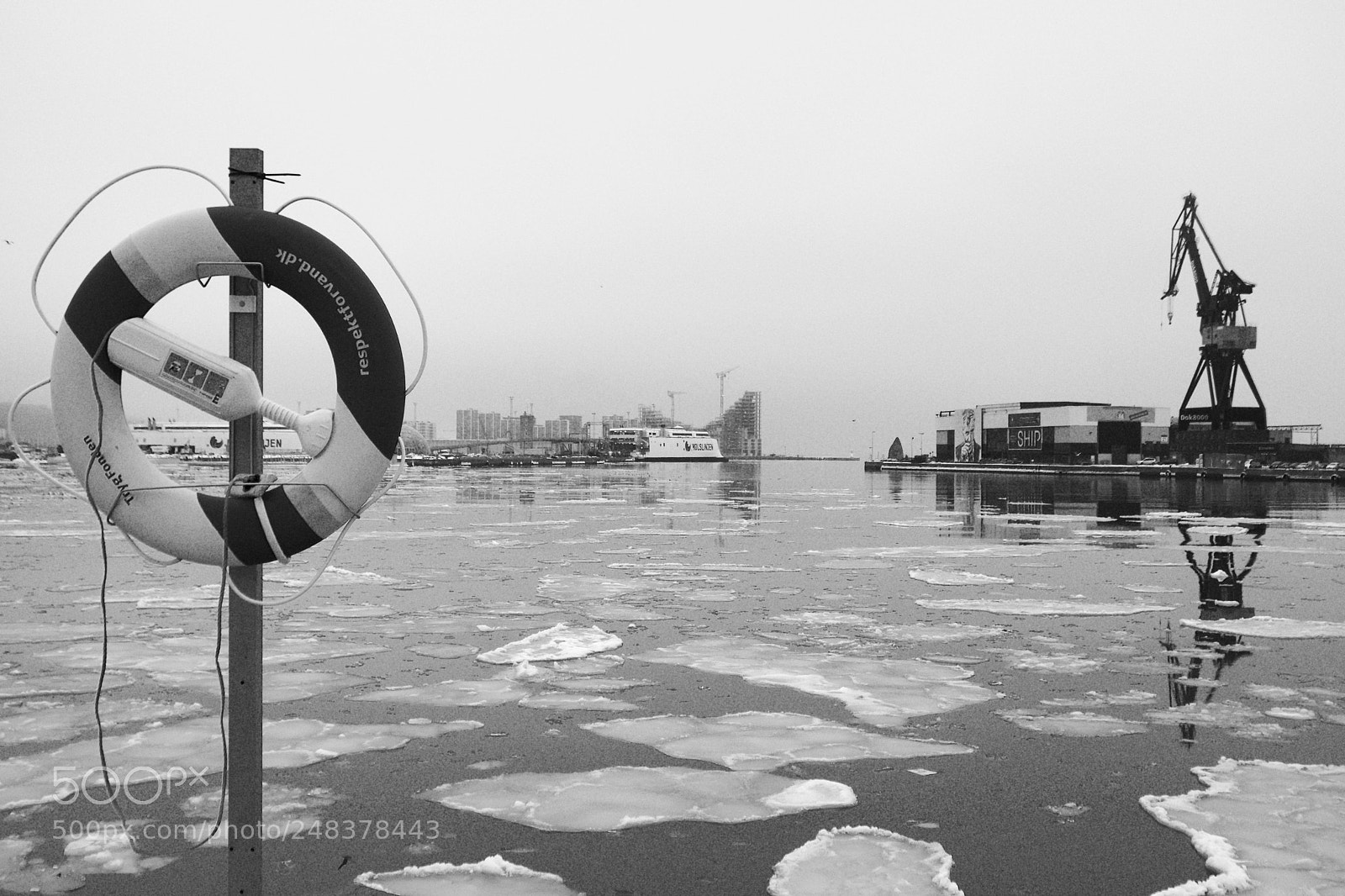 Nikon D5300 sample photo. Frozen harbor of aarhus photography