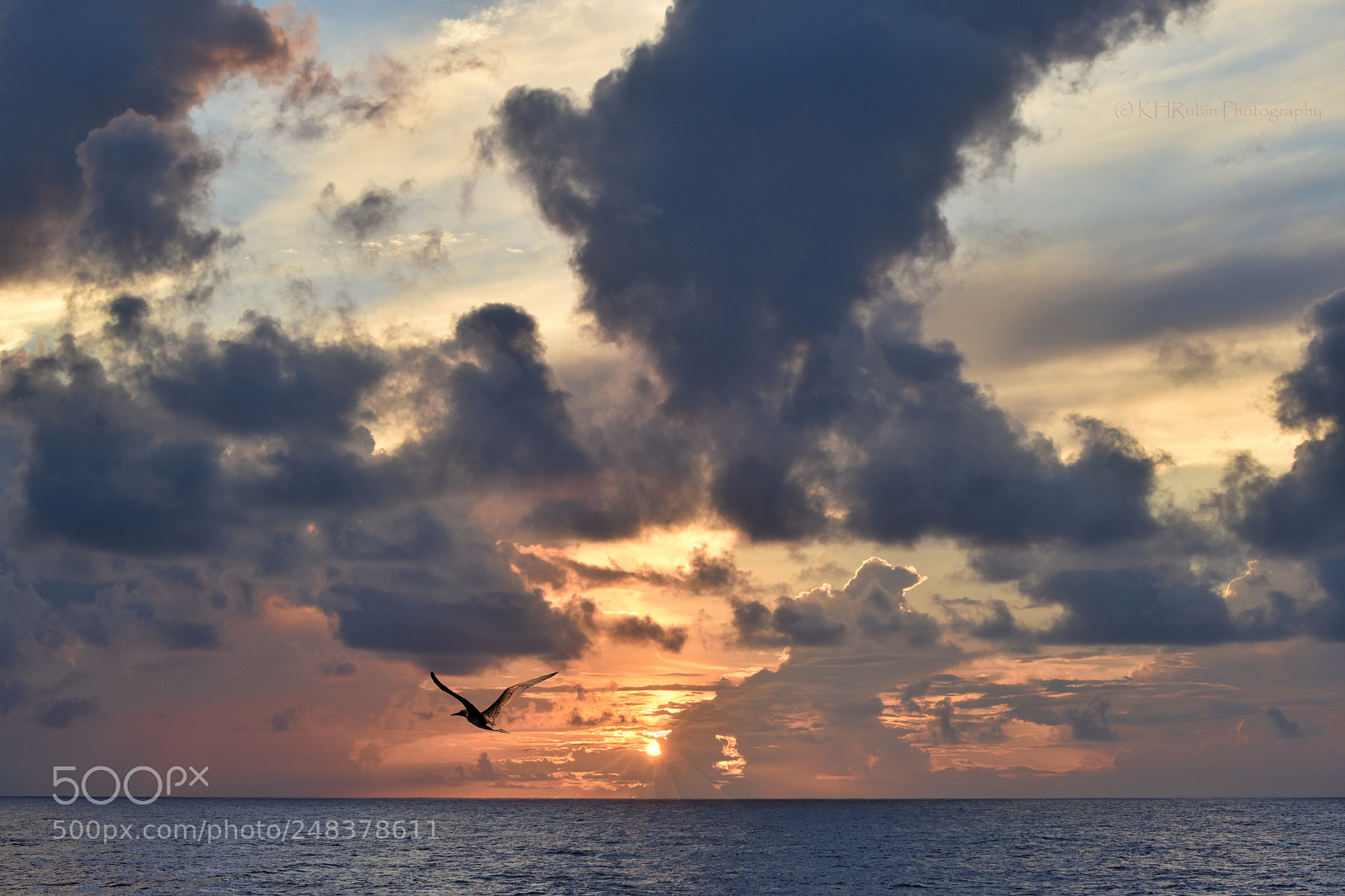 Nikon D5500 sample photo. Boundless photography