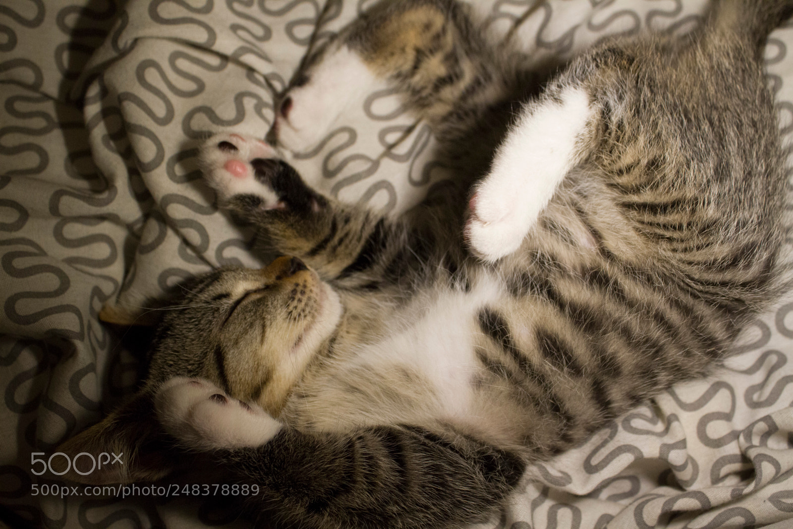 Canon EOS 7D sample photo. Img photography