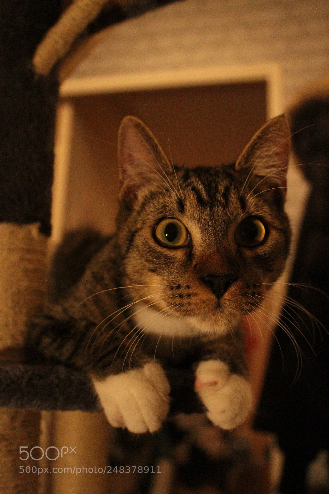 Canon EOS 7D sample photo. Img photography