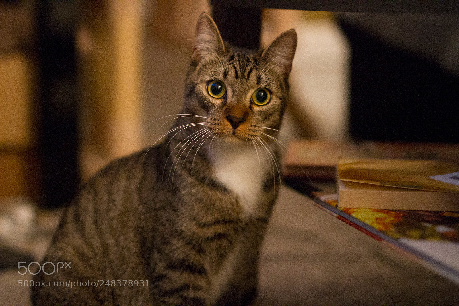 Canon EOS 7D sample photo. Img photography