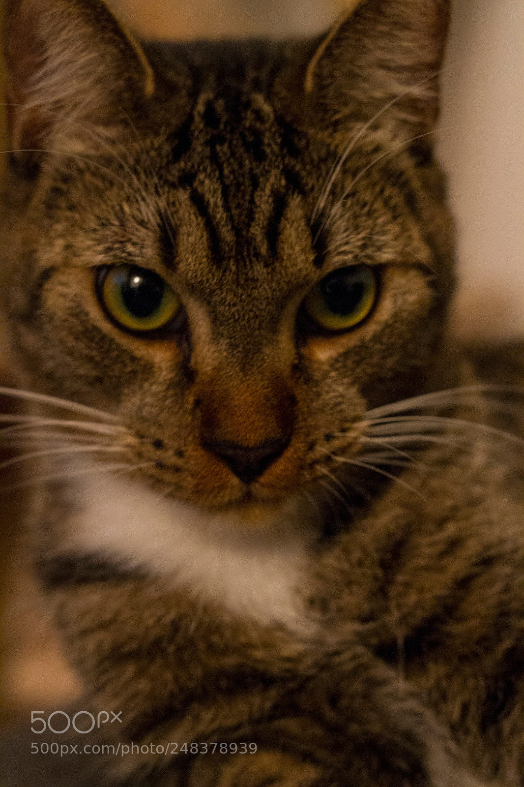 Canon EOS 7D sample photo. Img photography