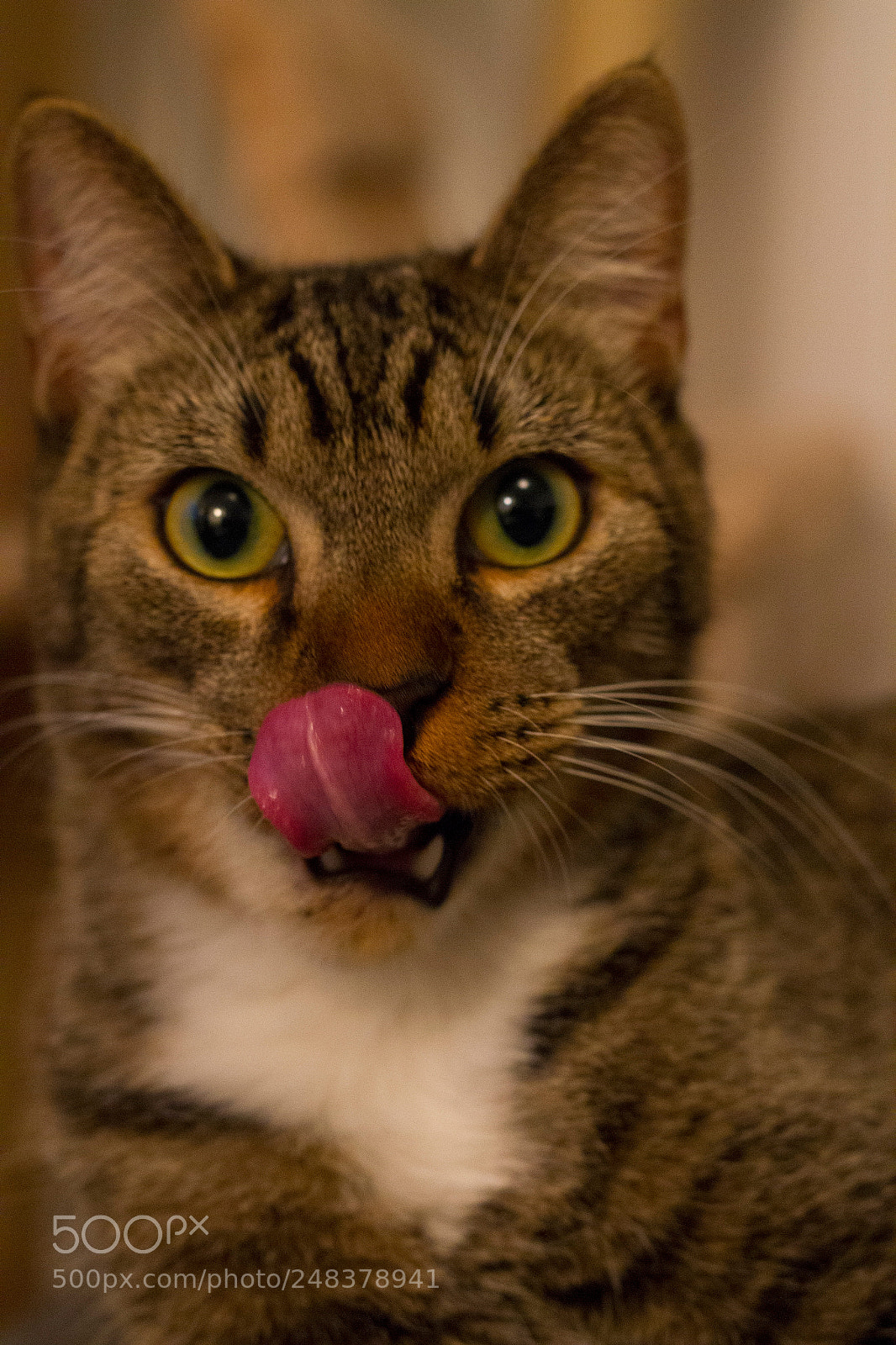 Canon EOS 7D sample photo. Img photography