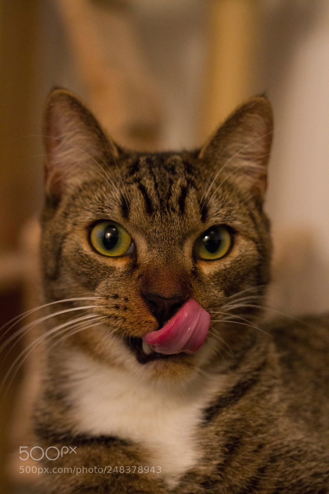 Canon EOS 7D sample photo. Img photography
