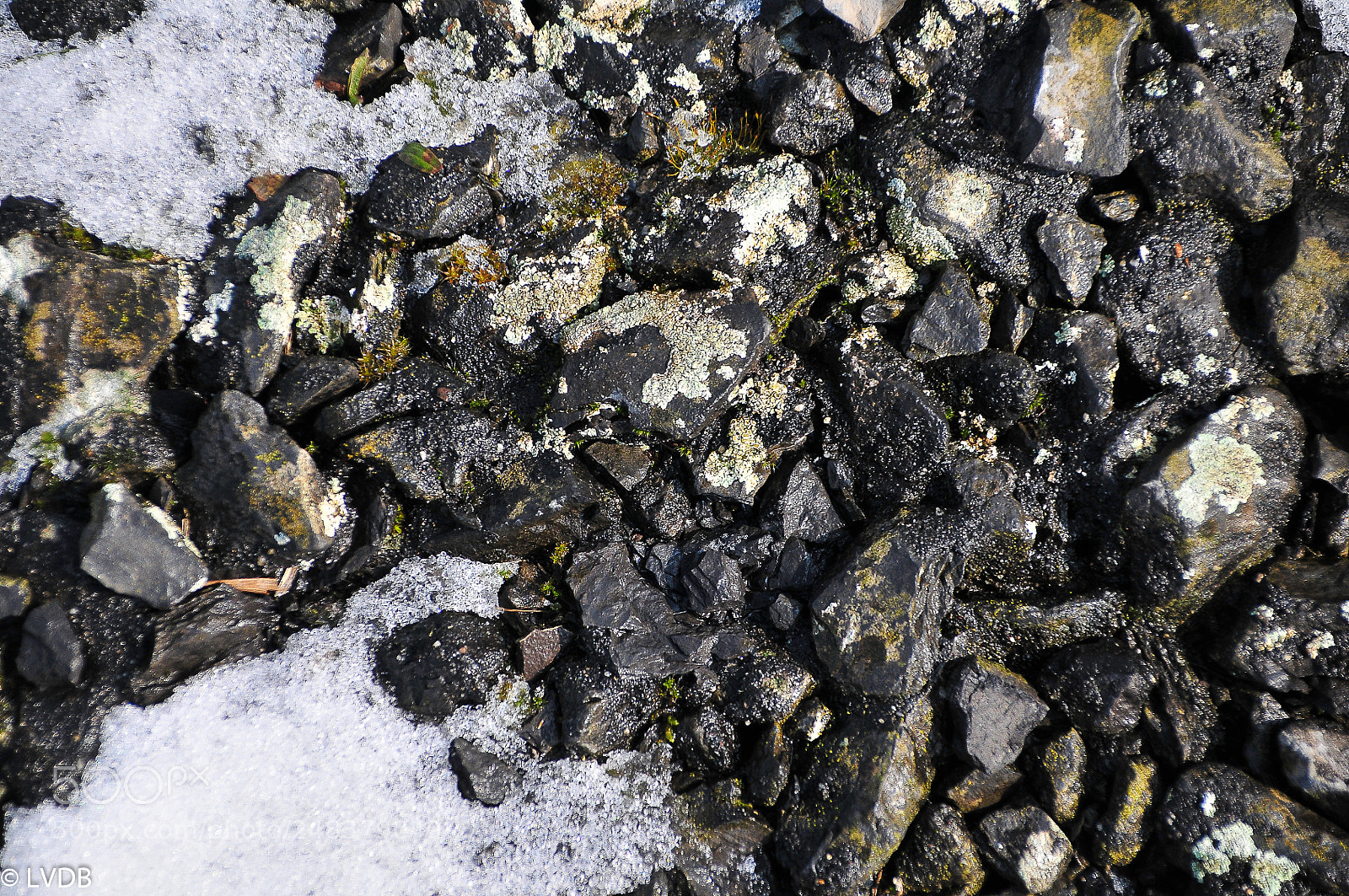Nikon D300 sample photo. Structur photography