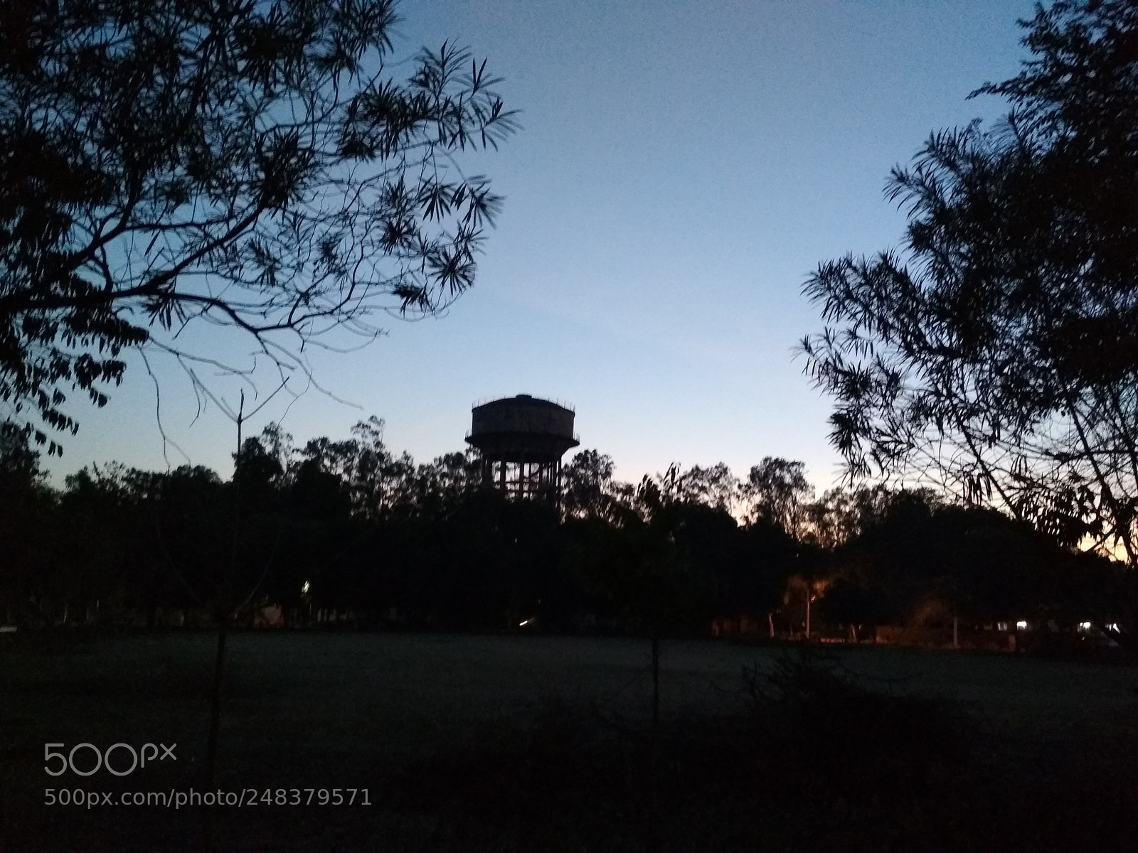 Xiaomi Redmi 4 Pro sample photo. A walk in the photography