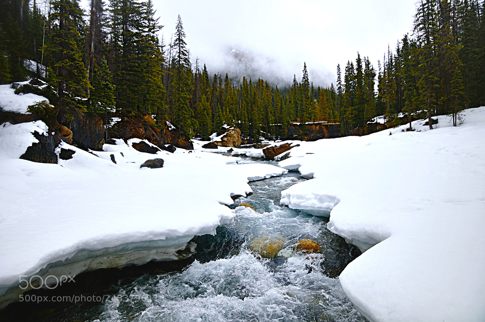 Nikon D300 sample photo. The flow photography