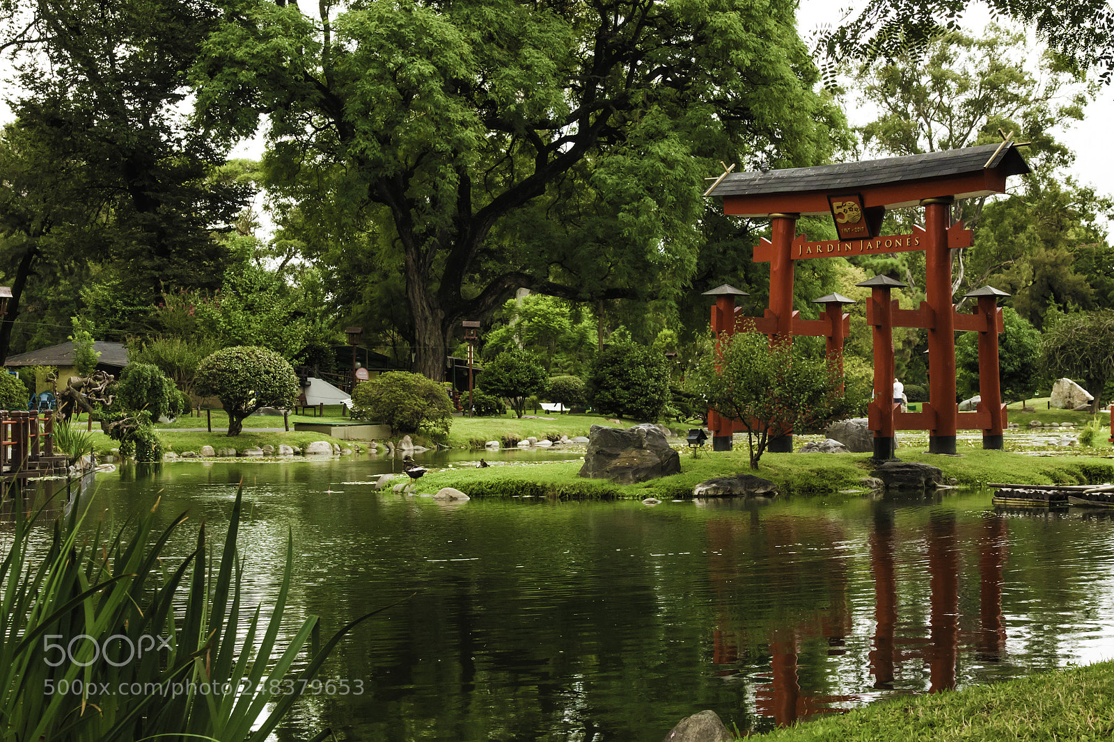 Canon EOS 50D sample photo. Japanese garden , buenos photography