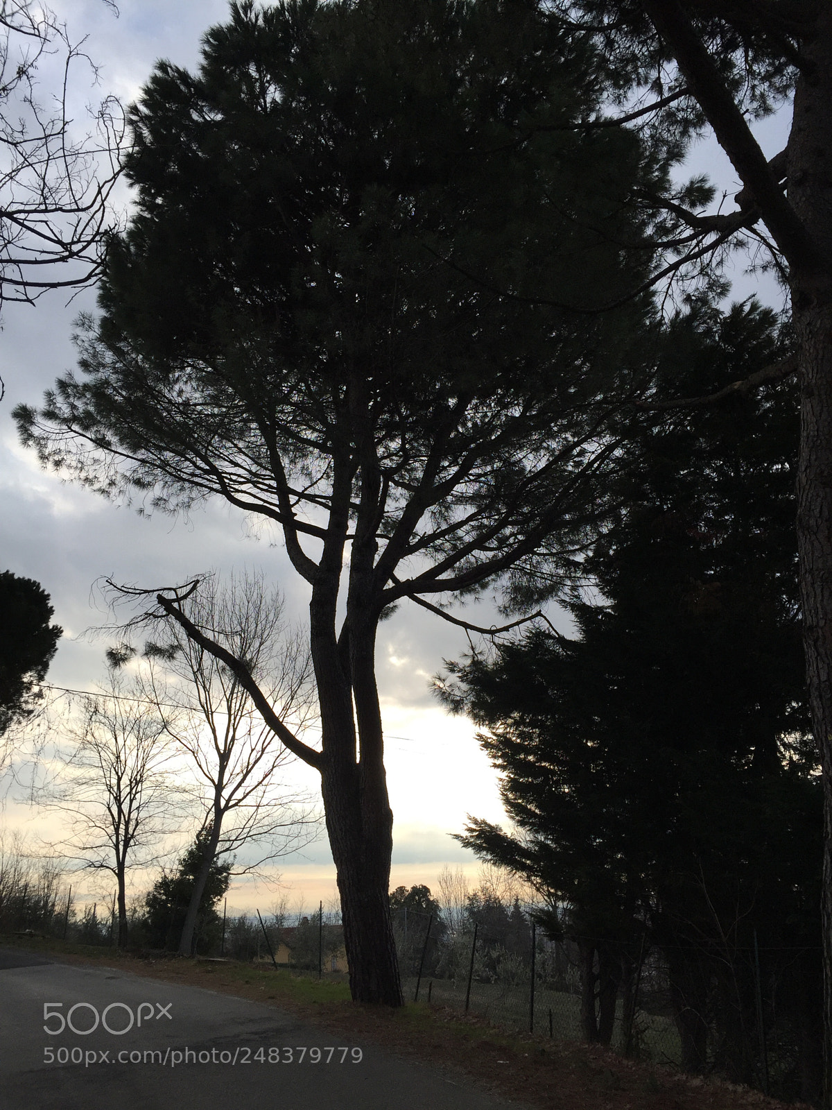 Apple iPhone 6 Plus sample photo. Collina photography