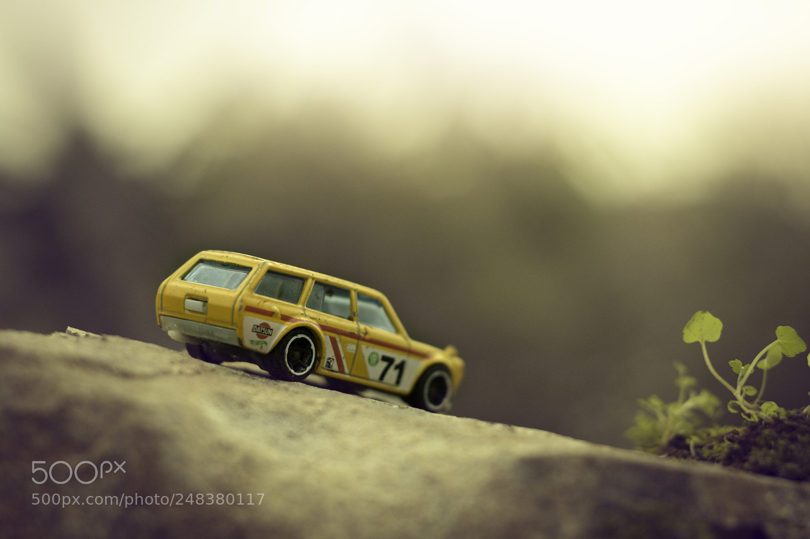 Nikon D7100 sample photo. Datsun2 photography