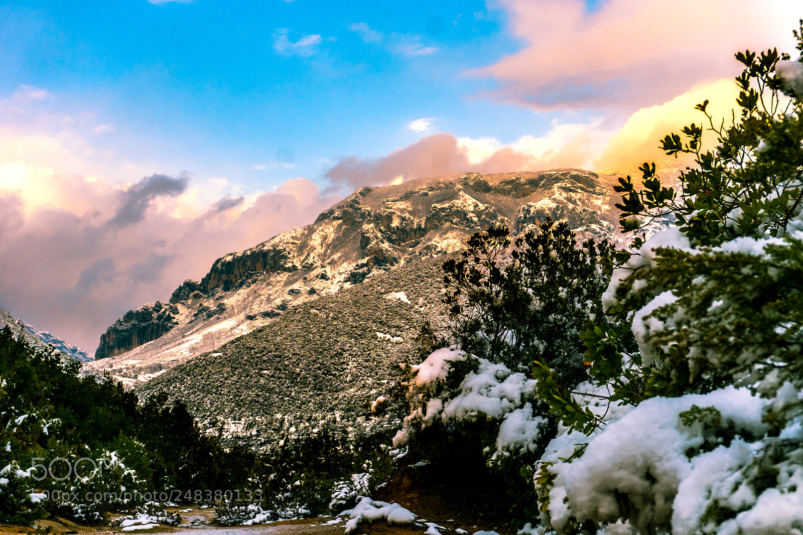 Sony a6300 sample photo. Mountain dajt in tirana photography