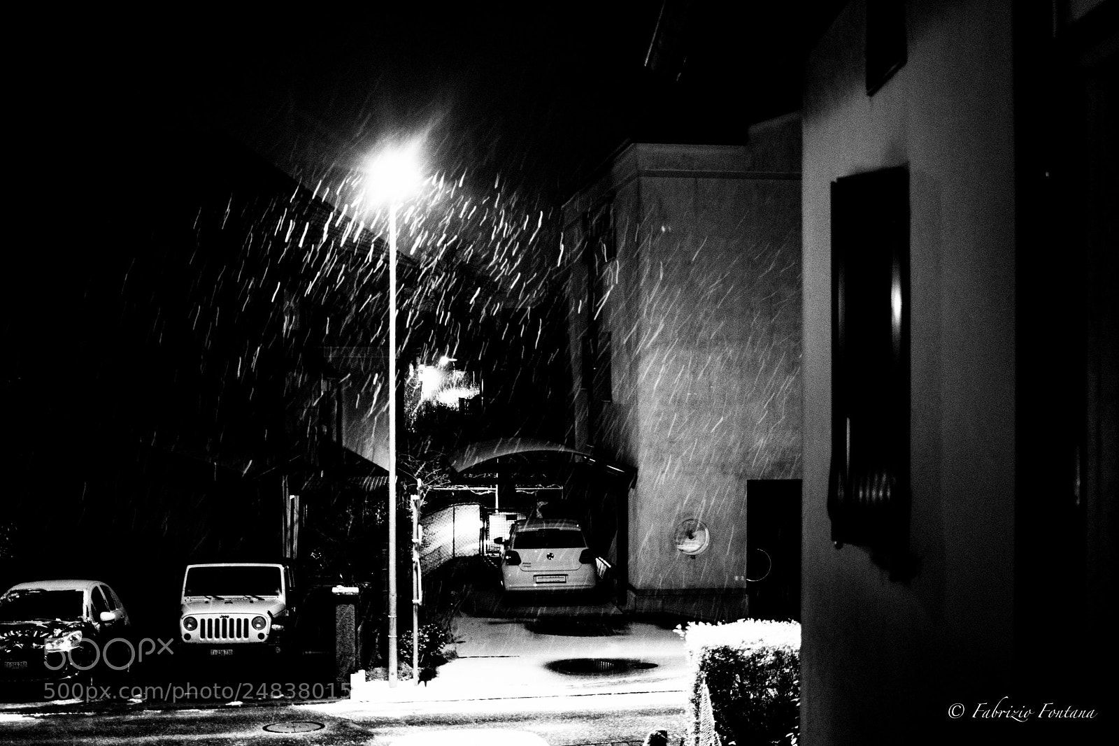 Nikon D500 sample photo. Untitled photography
