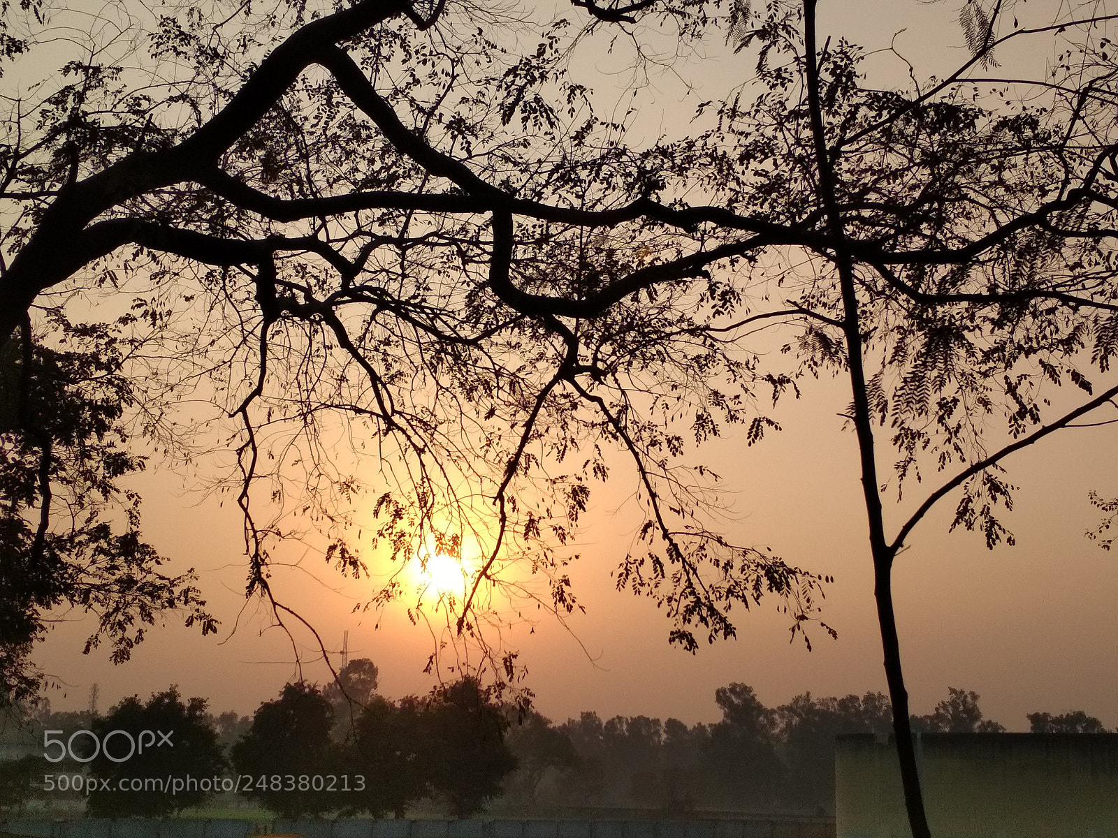Xiaomi Redmi 4 Pro sample photo. Untitled photography