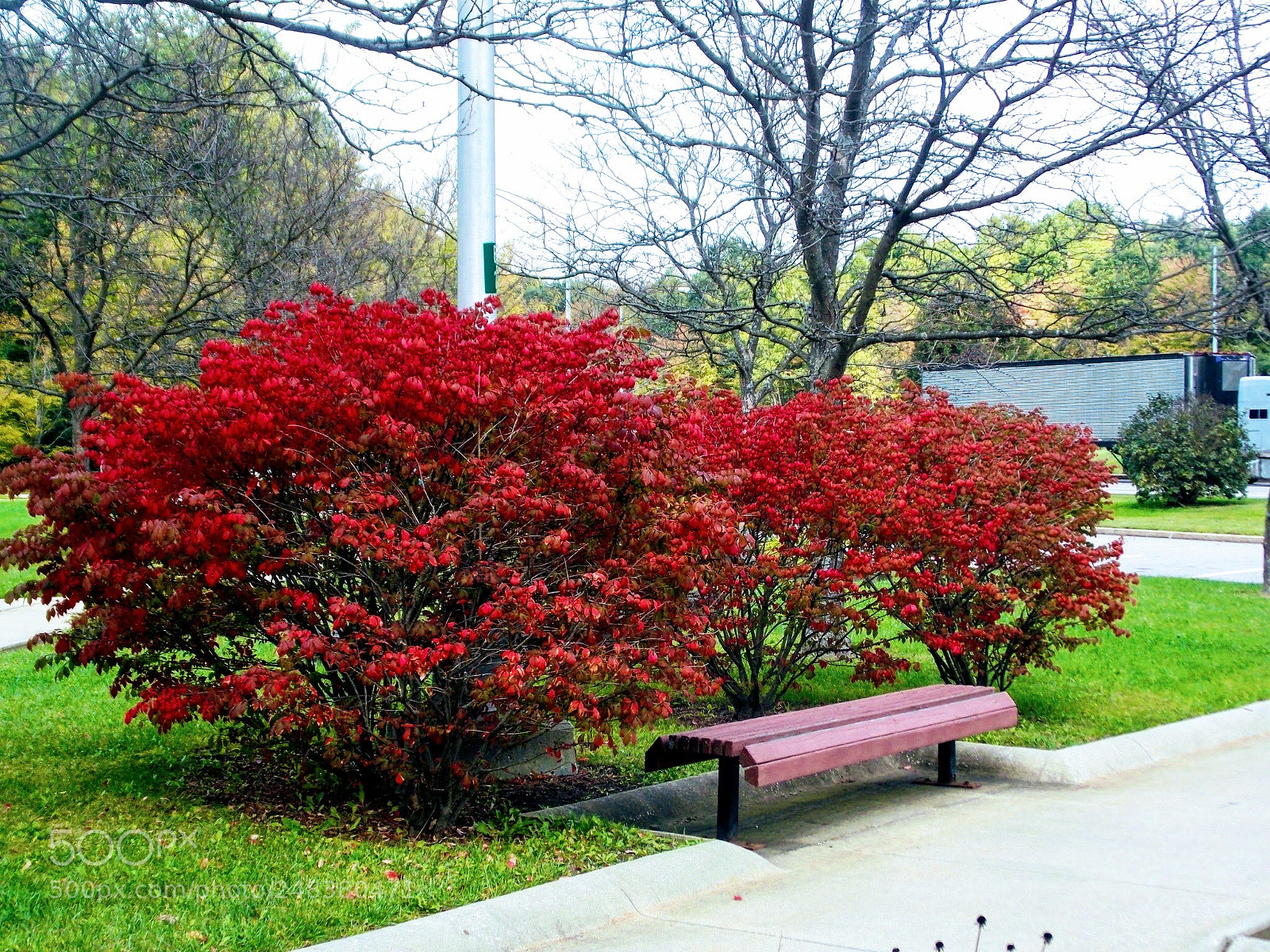 Nikon Coolpix L810 sample photo. Peaceful looking photography