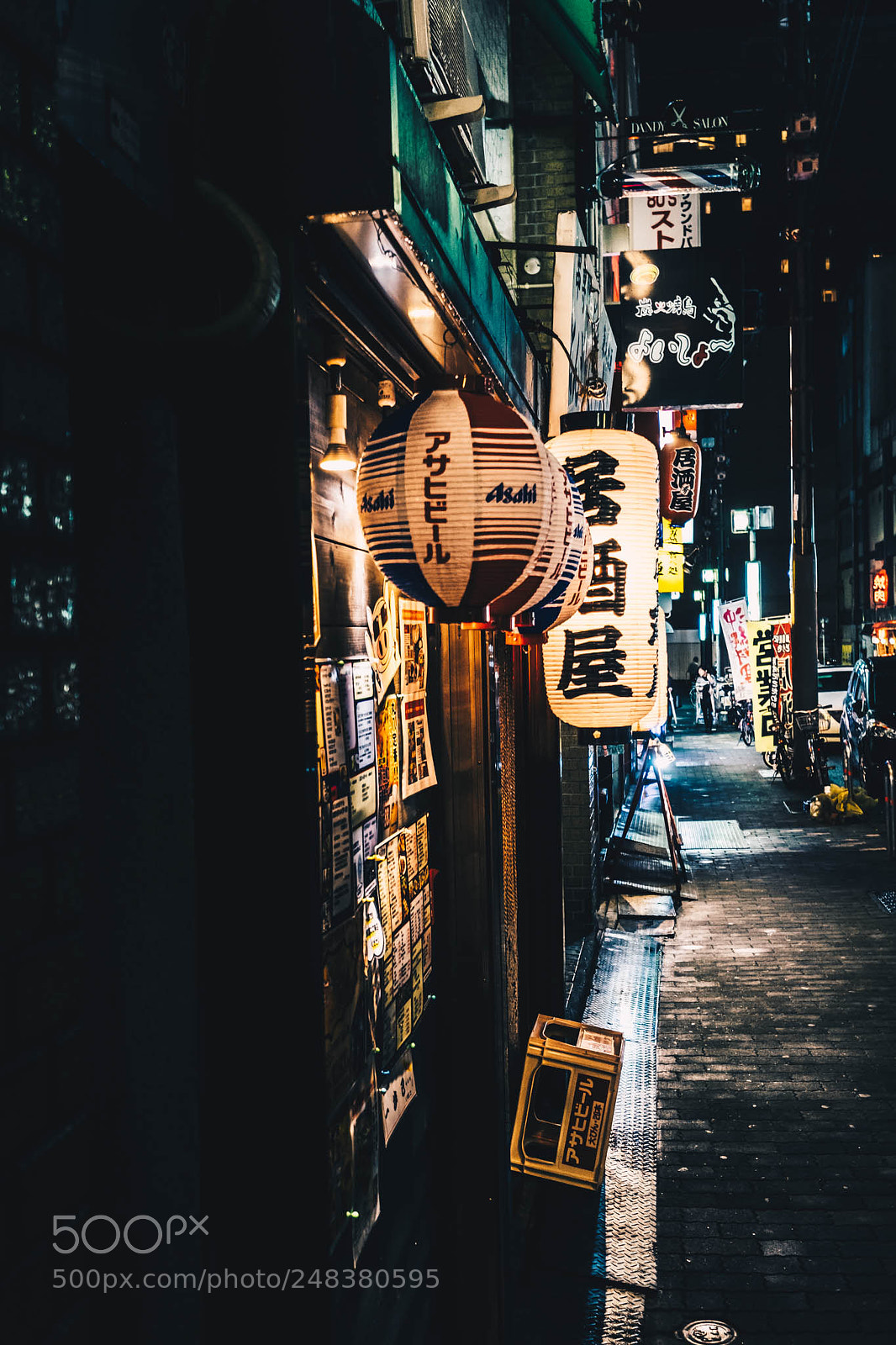 Fujifilm X-T2 sample photo. Japanese way photography
