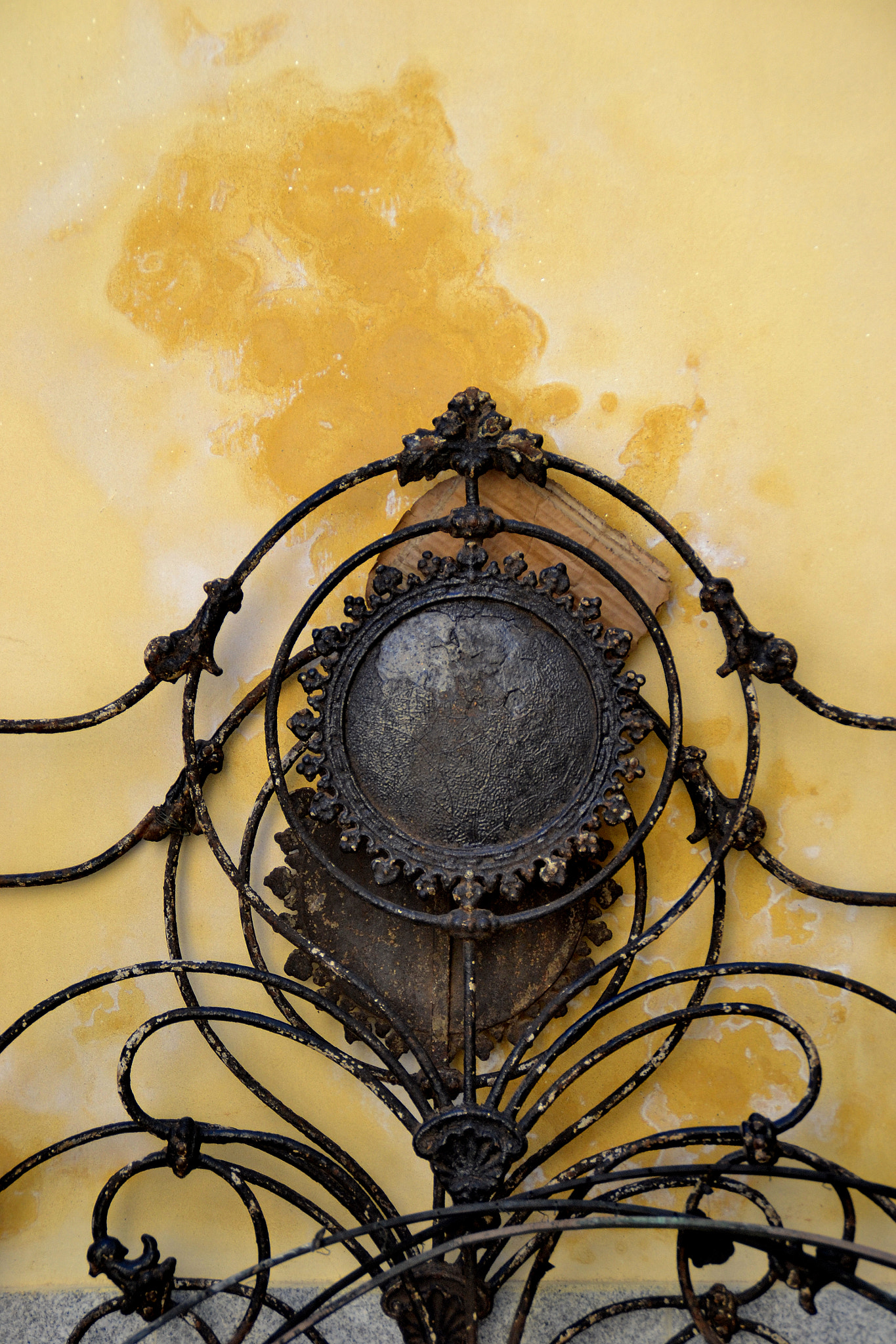 Nikon D3100 sample photo. Cap i cua. photography