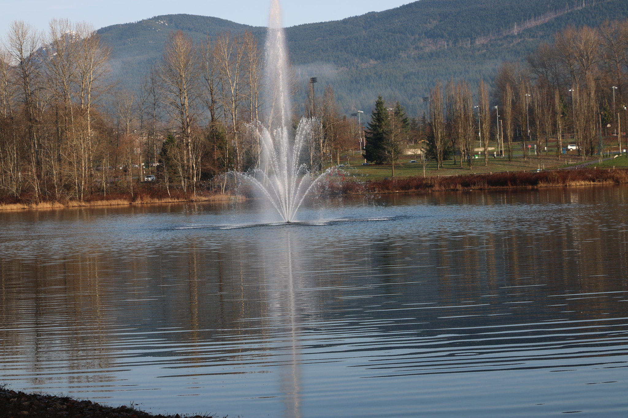 Canon EOS 750D (EOS Rebel T6i / EOS Kiss X8i) sample photo. Img photography