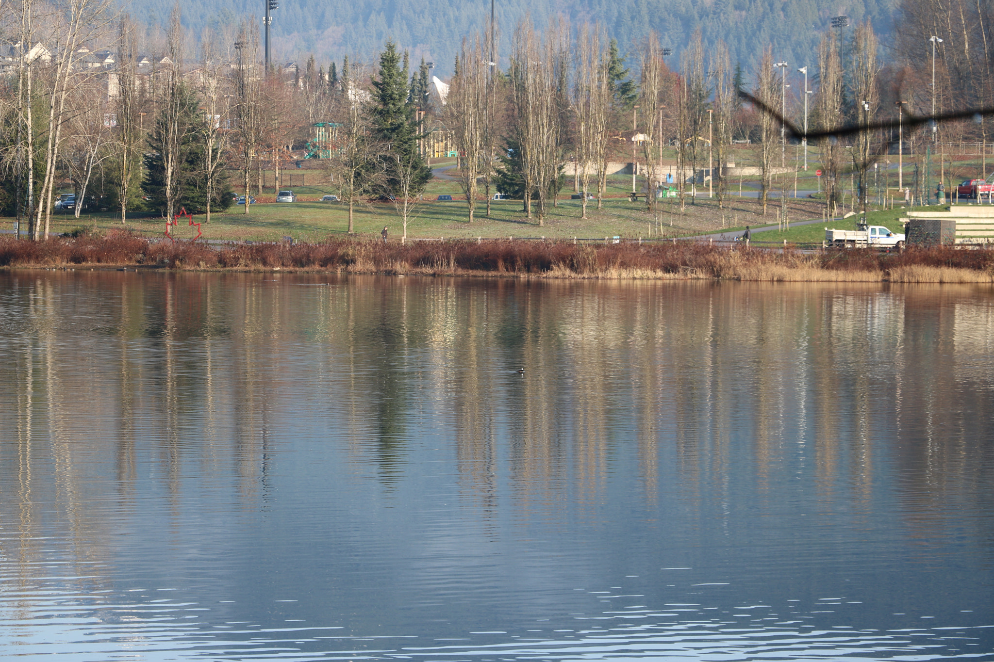 Canon EOS 750D (EOS Rebel T6i / EOS Kiss X8i) sample photo. Img photography