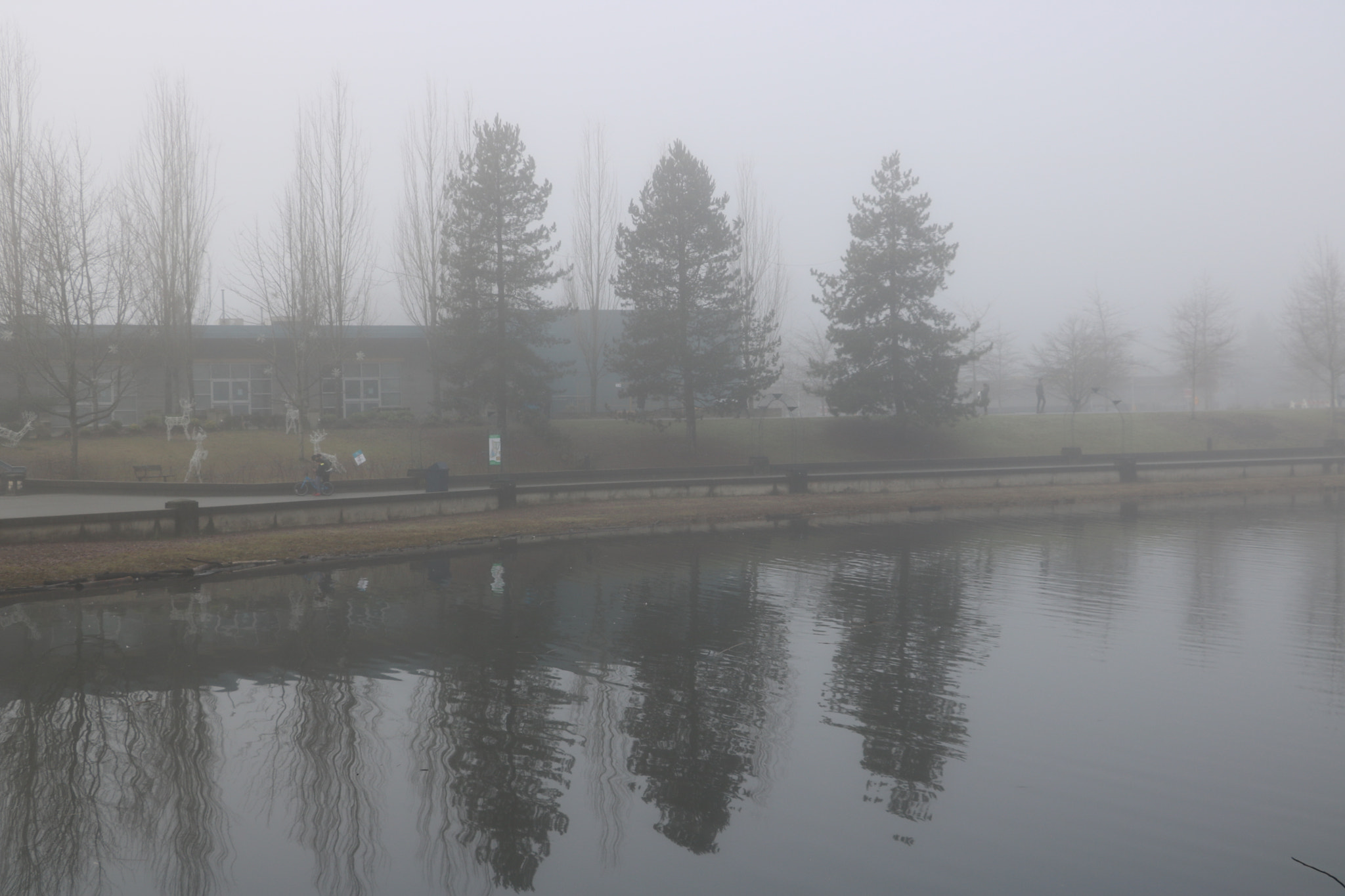 Canon EOS 750D (EOS Rebel T6i / EOS Kiss X8i) sample photo. Img photography