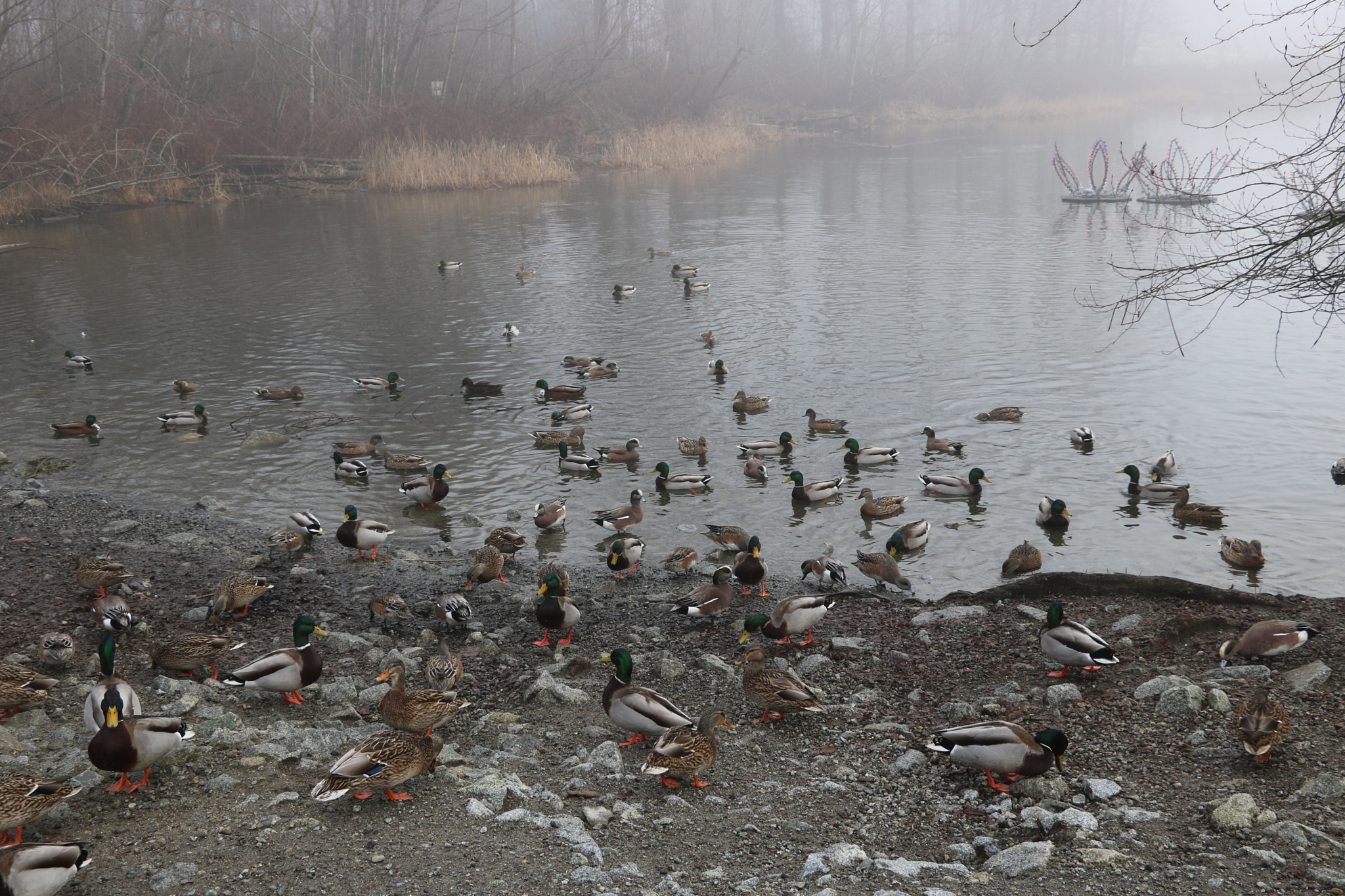 Canon EOS 750D (EOS Rebel T6i / EOS Kiss X8i) sample photo. Img photography