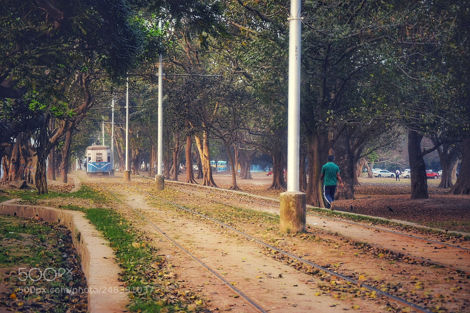 Nikon D5300 sample photo. The faded journey photography
