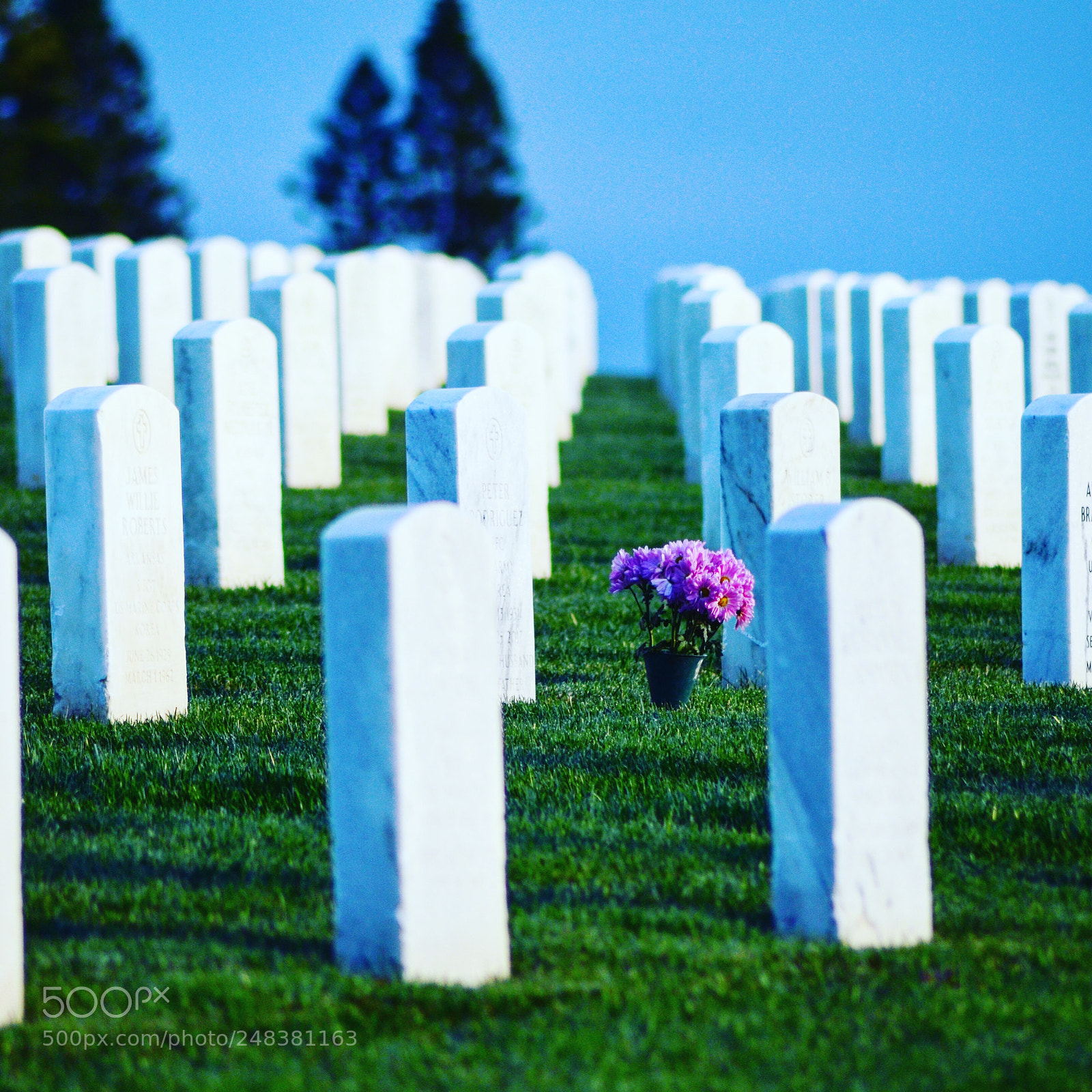 Nikon D5100 sample photo. Point loma cemetery photography