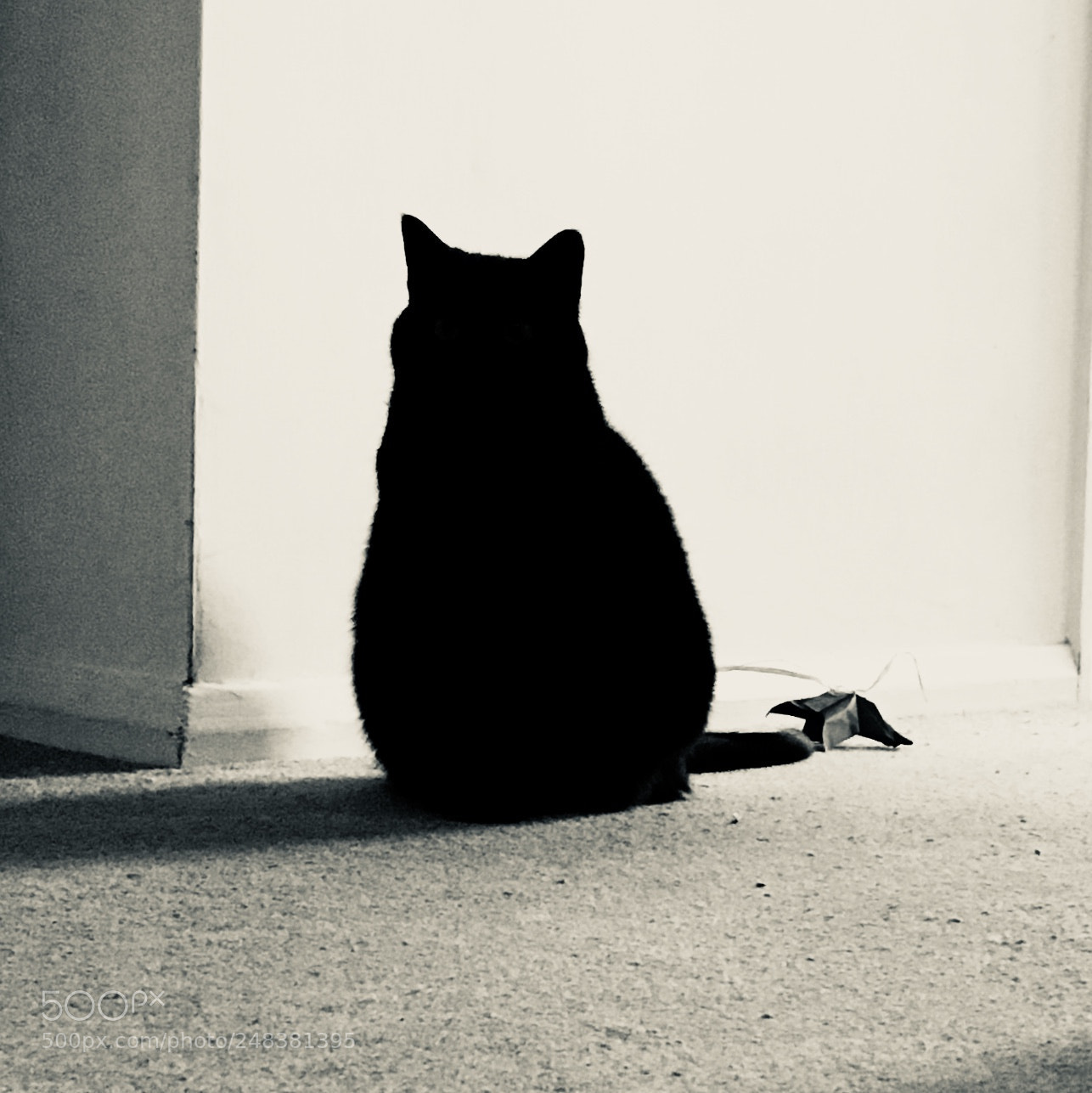 Apple iPhone SE sample photo. She looks and waits. photography