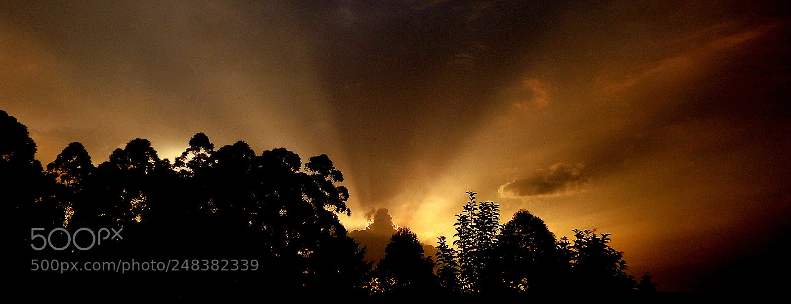 Fujifilm FinePix SL1000 sample photo. Colors party .... photography