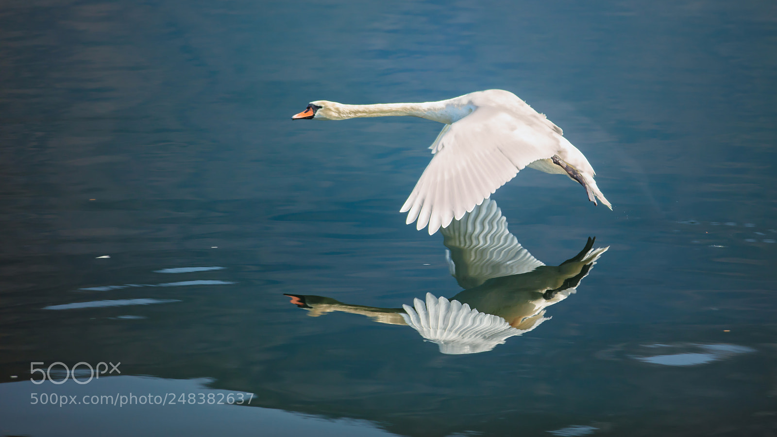 Canon EOS 5DS R sample photo. Schneewittchen photography