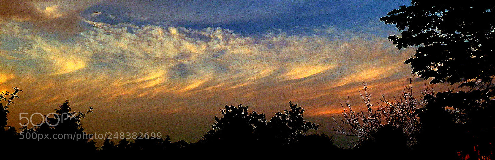 Fujifilm FinePix SL1000 sample photo. Sunset landscape photography