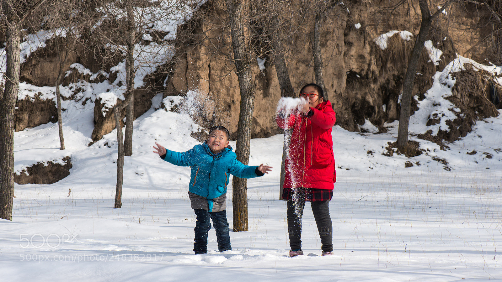 Nikon D800E sample photo. Untitled photography