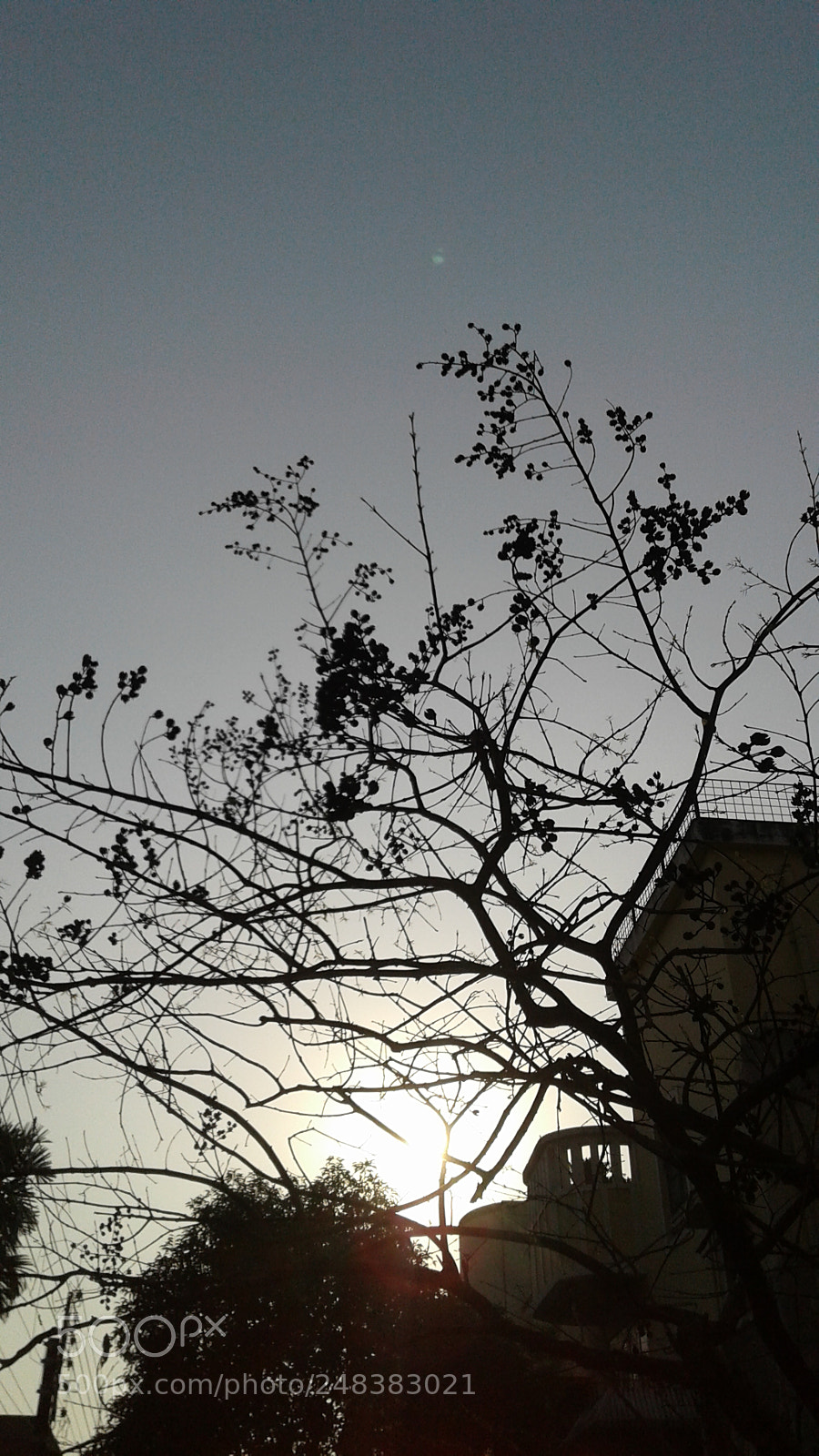 Samsung Galaxy J2 sample photo. Sunrise photography